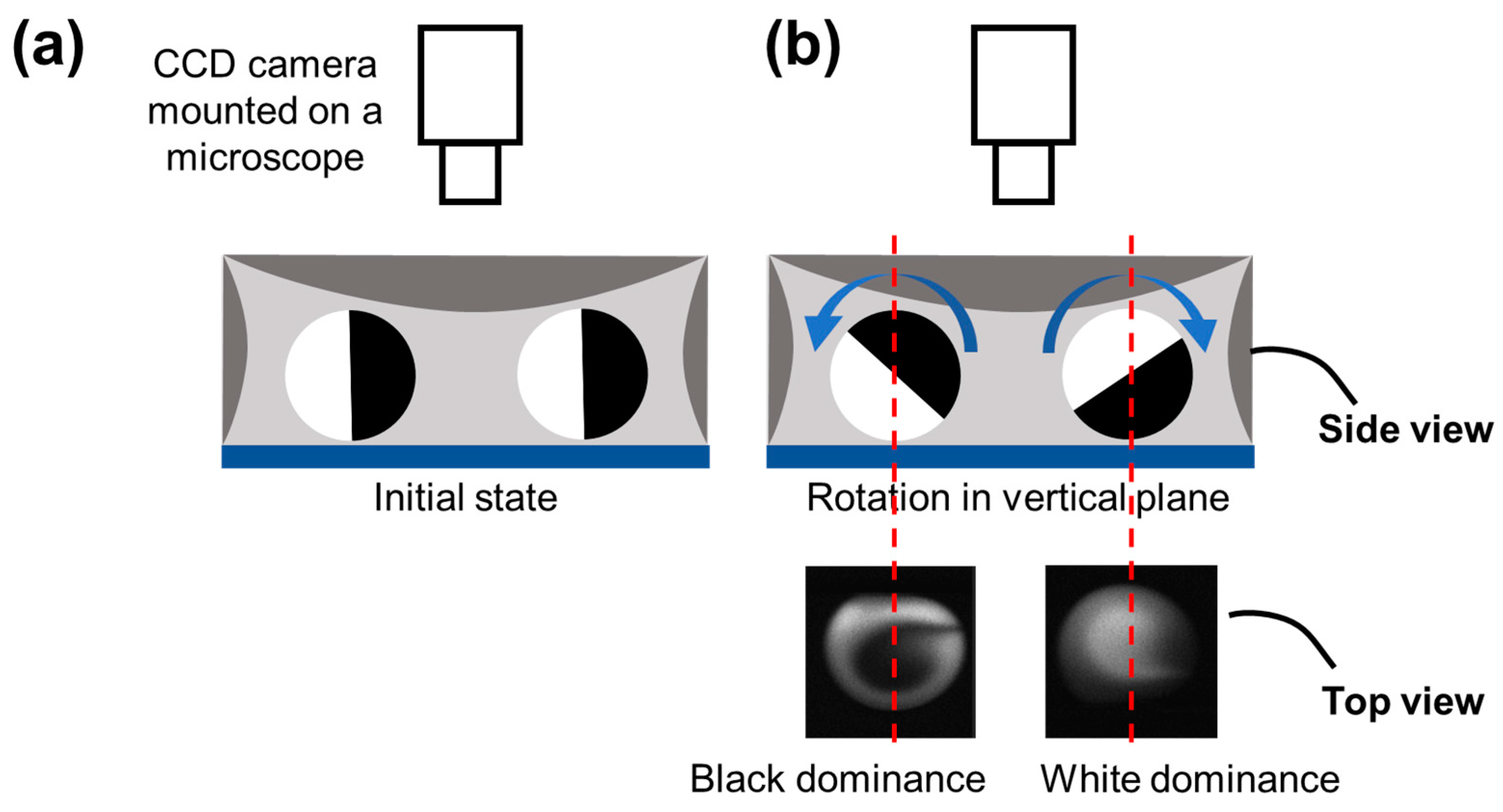 Micromachines 12 00901 g003 550
