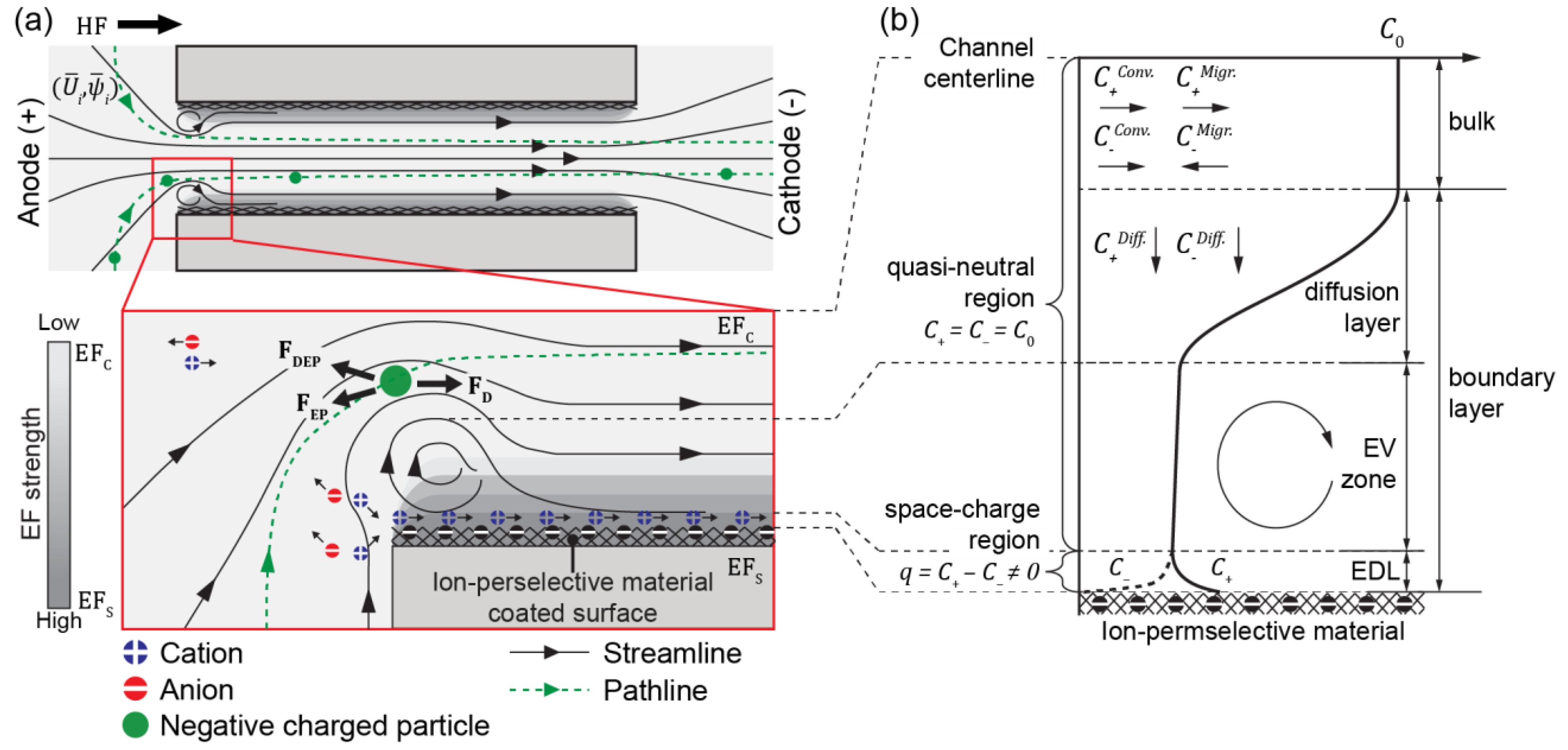Micromachines 12 00903 g002 550