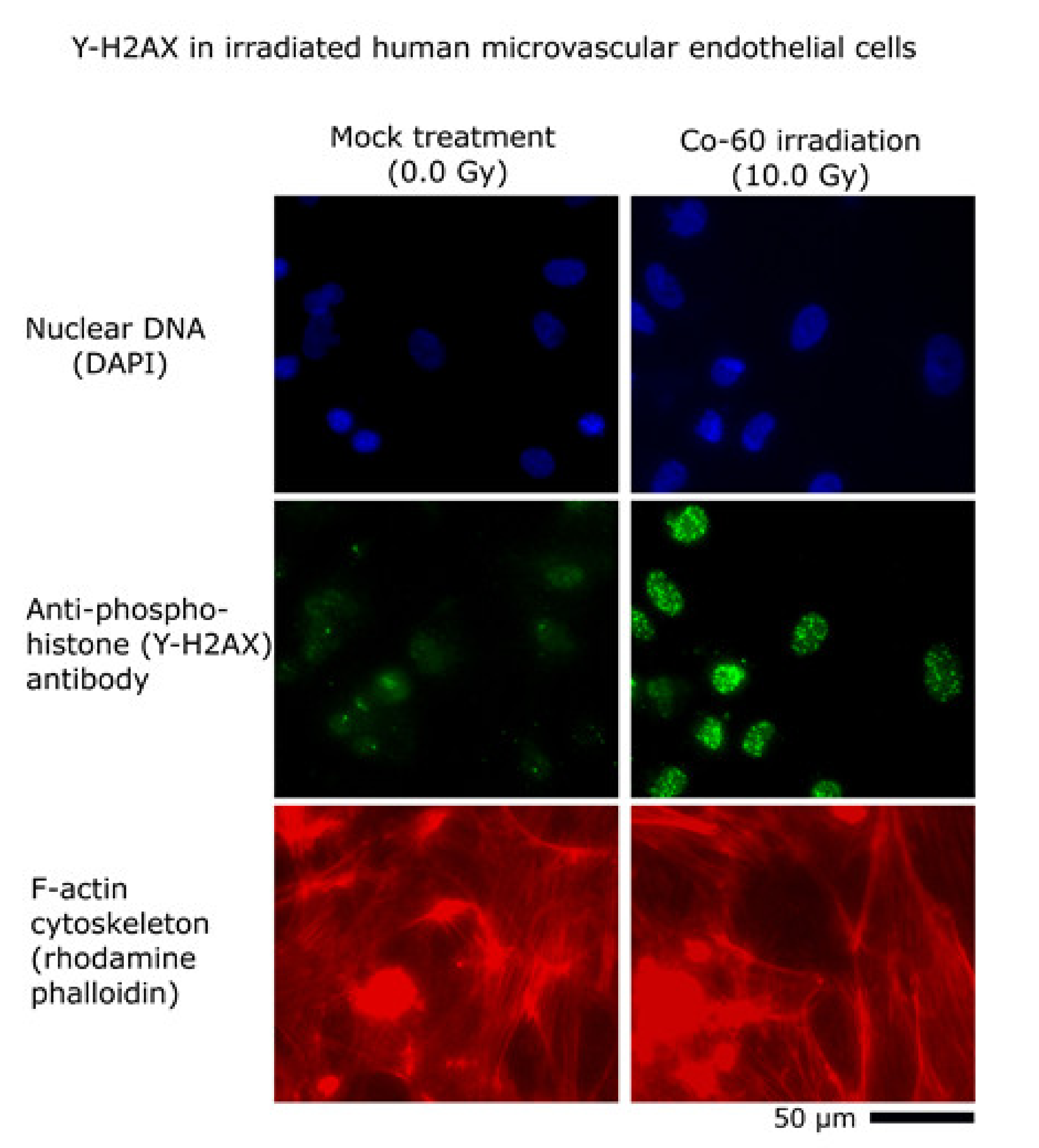 Micromachines 12 00904 g004
