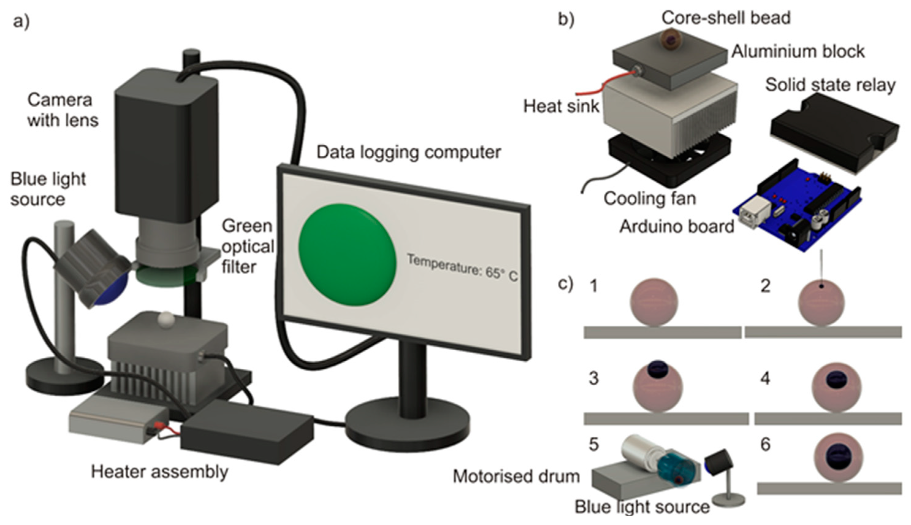 Micromachines Free Full Text Loop Mediated Isothermal Amplification In A Core Shell Bead Assay For The Detection Of Tyrosine Kinase Axl Overexpression Html