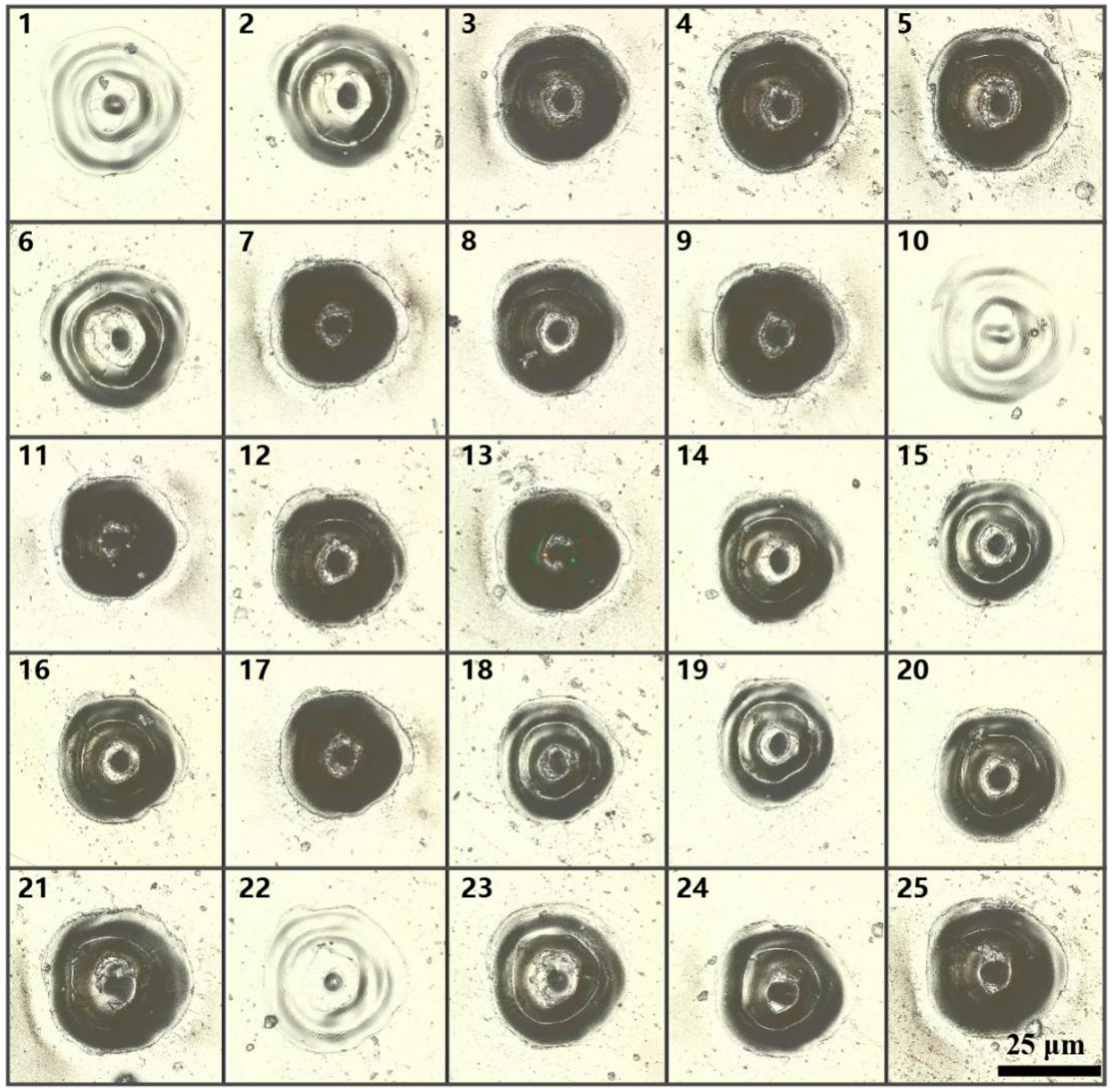 Micromachines 12 00908 g003 550
