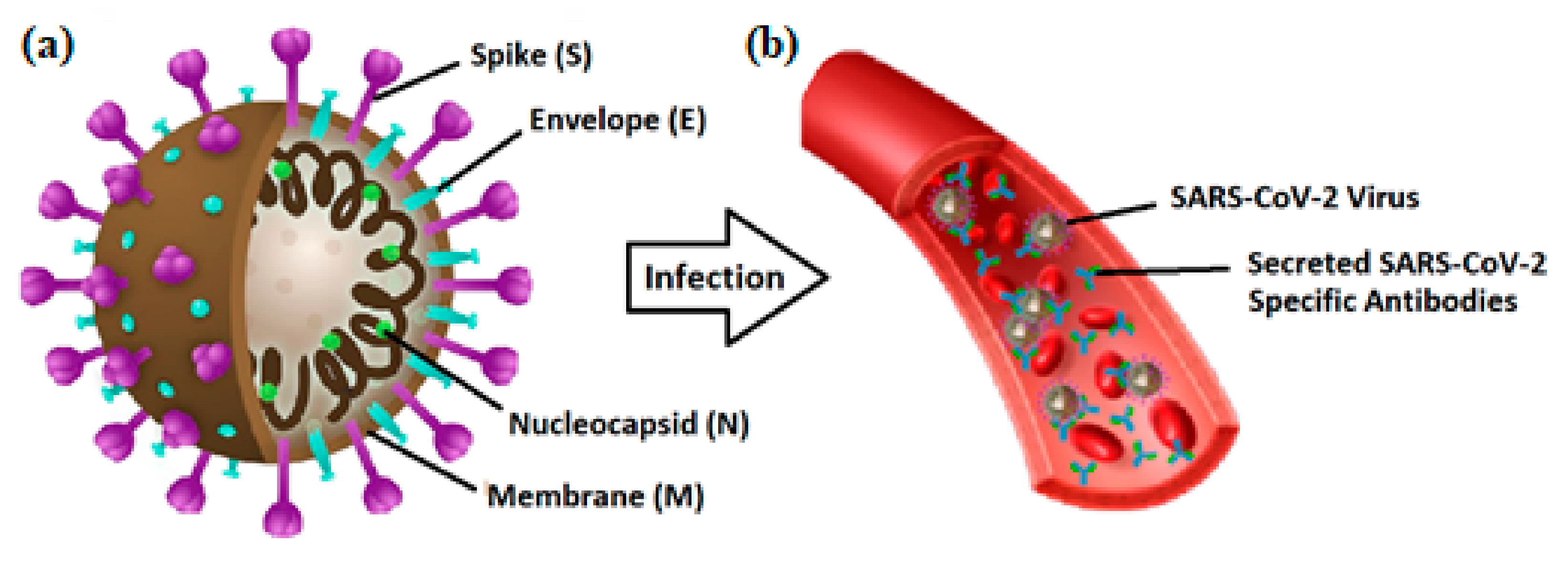 Micromachines 12 00915 g002 550