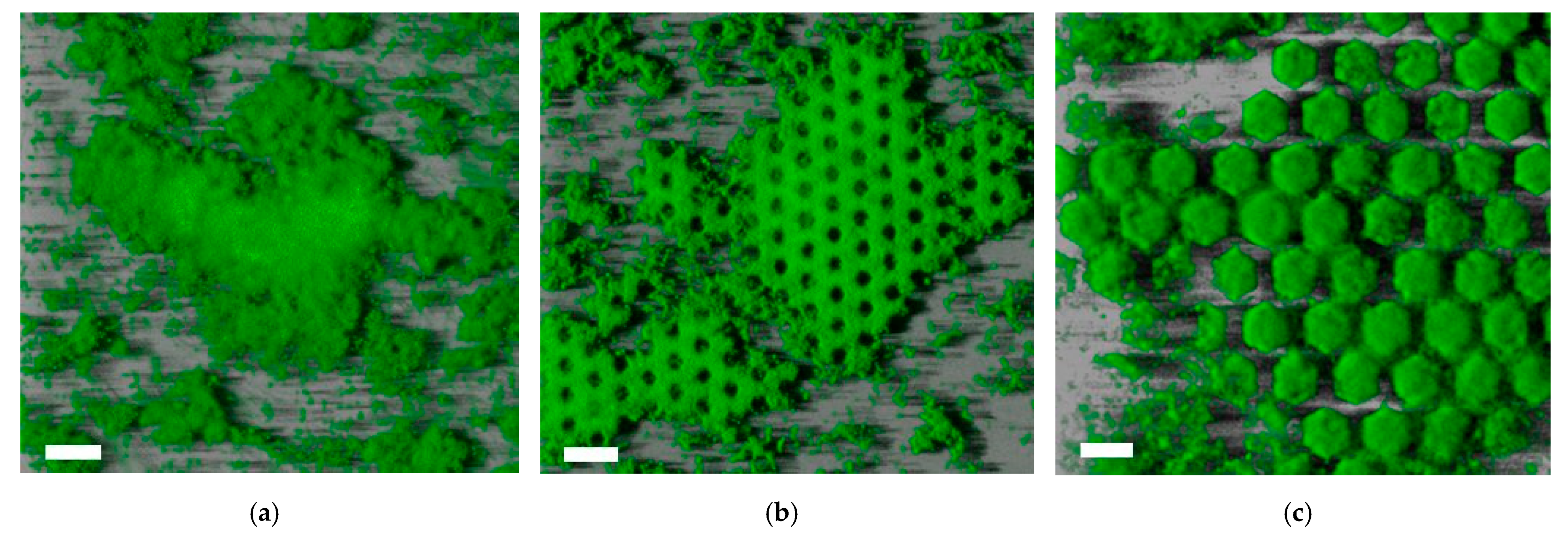 Micromachines 12 00926 g002