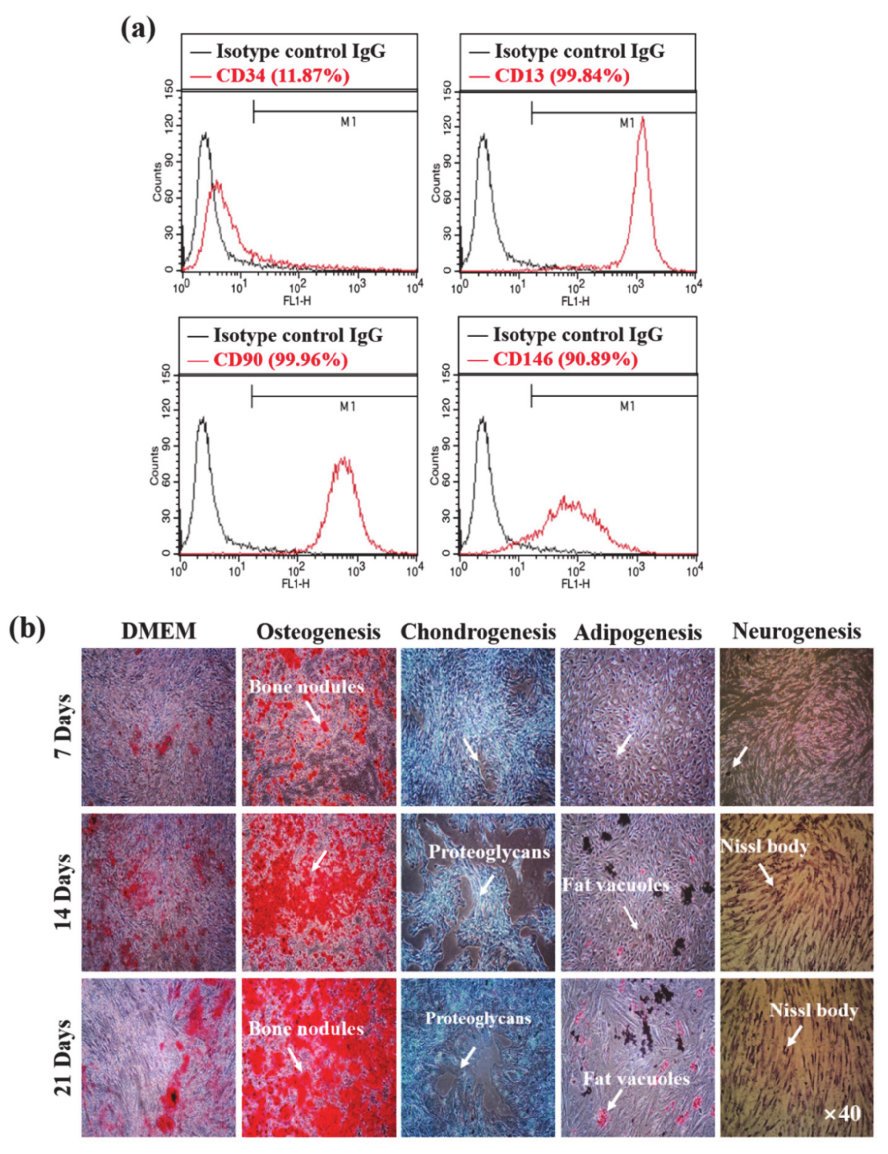 Micromachines 12 00927 g003