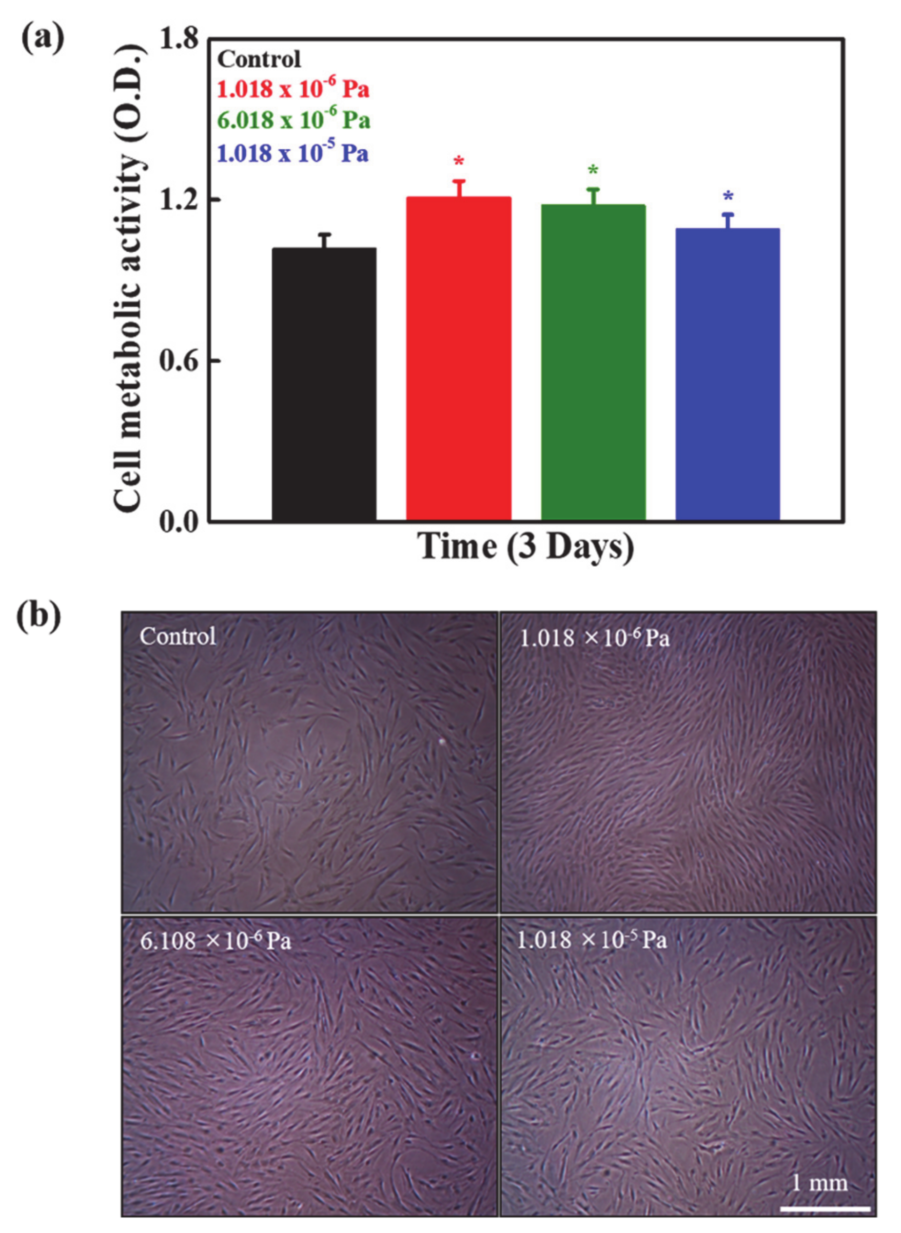 Micromachines 12 00927 g004