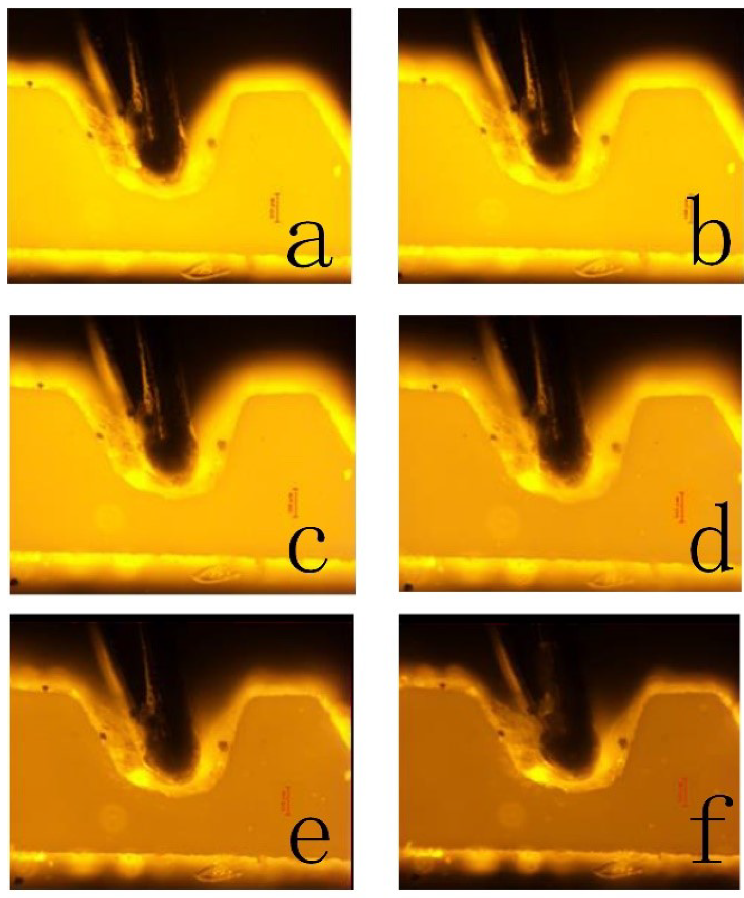 Micromachines 12 00934 g003 550