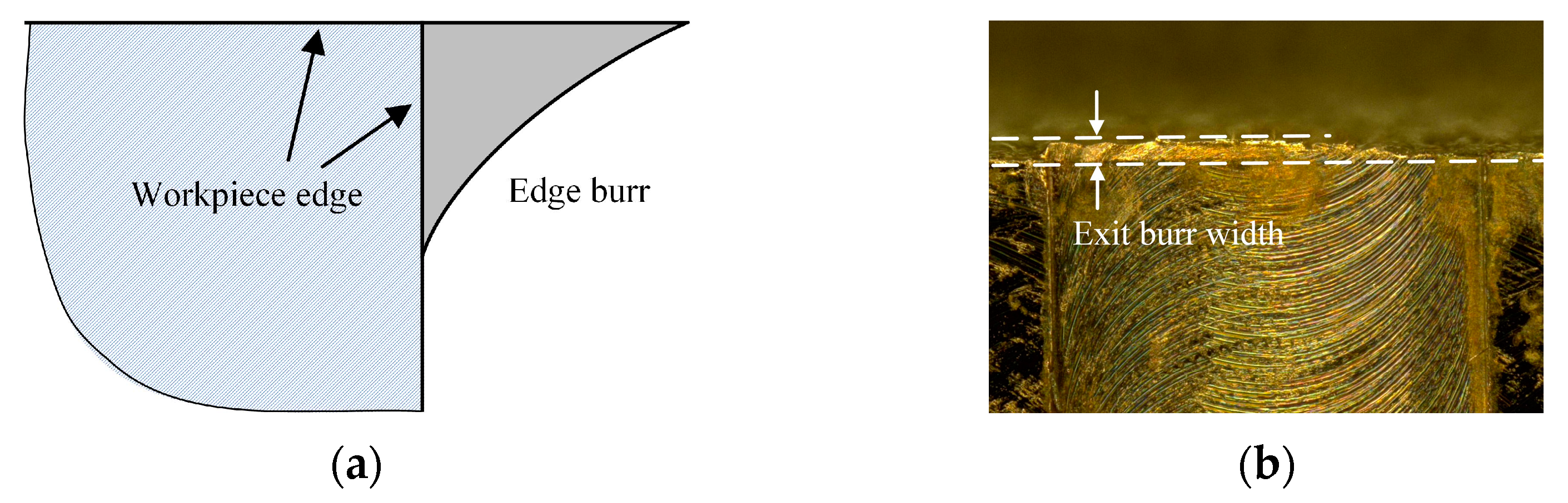 Micromachines Free FullText Investigation on the Exit Burr