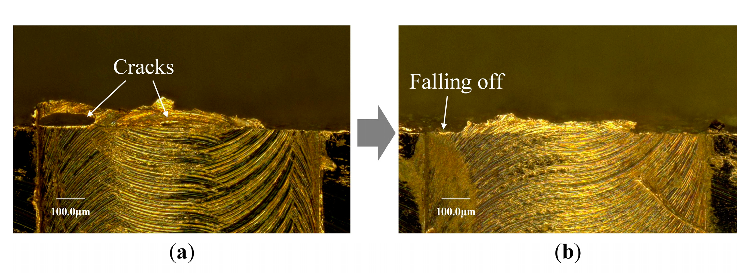 Micromachines 12 00952 g010