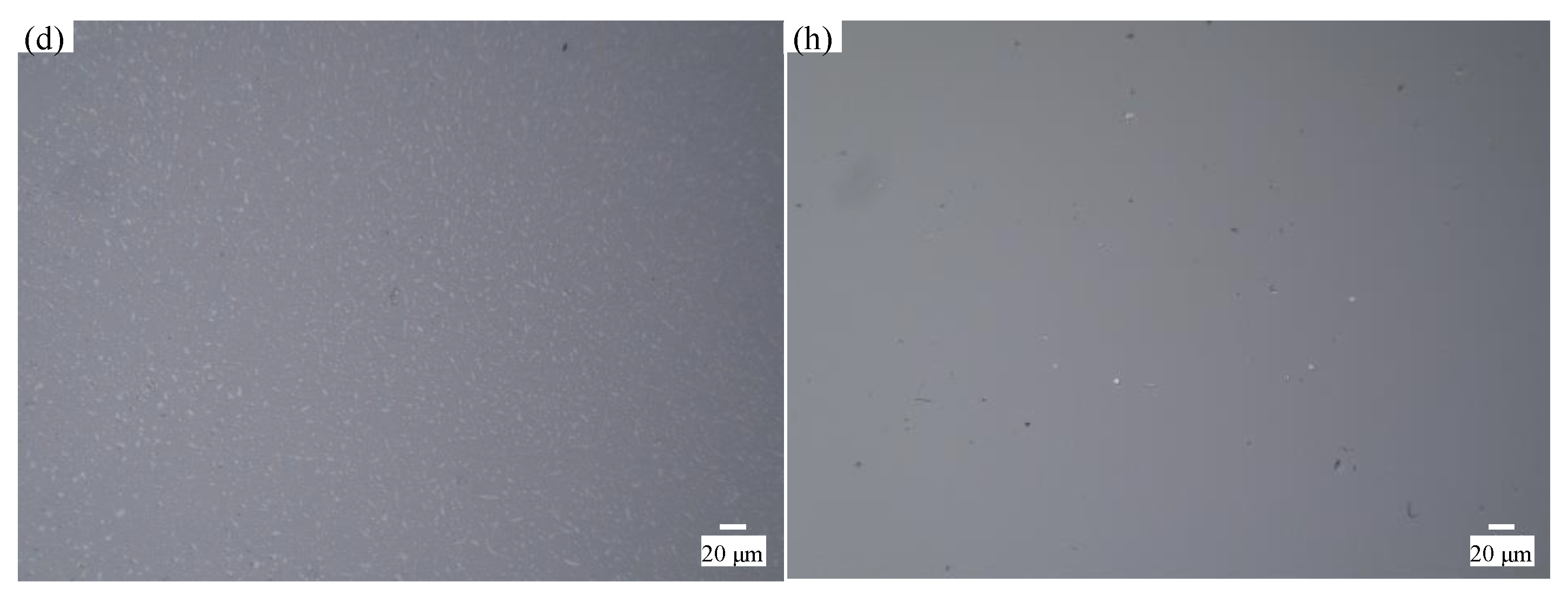 Micromachines 12 00956 g008b