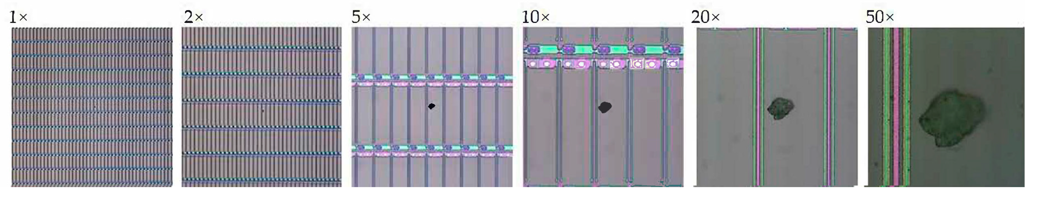 Micromachines 12 00964 g015 550
