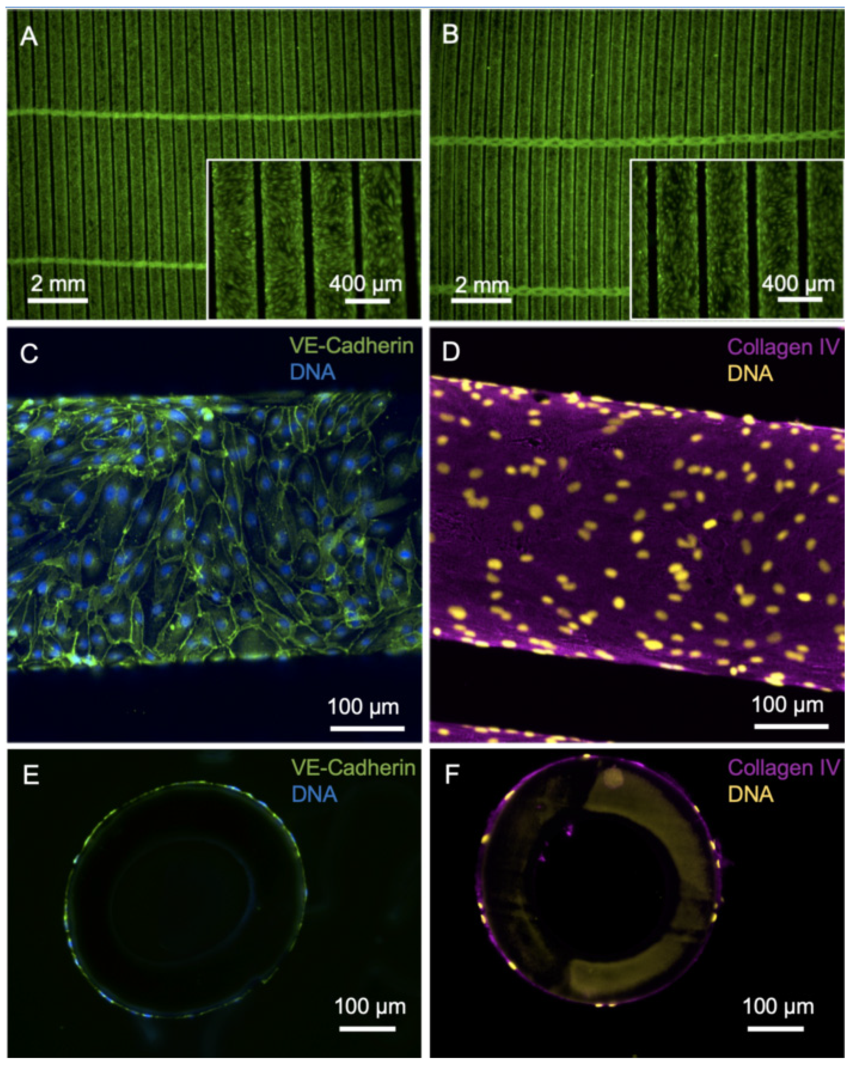 Micromachines 12 00981 g001