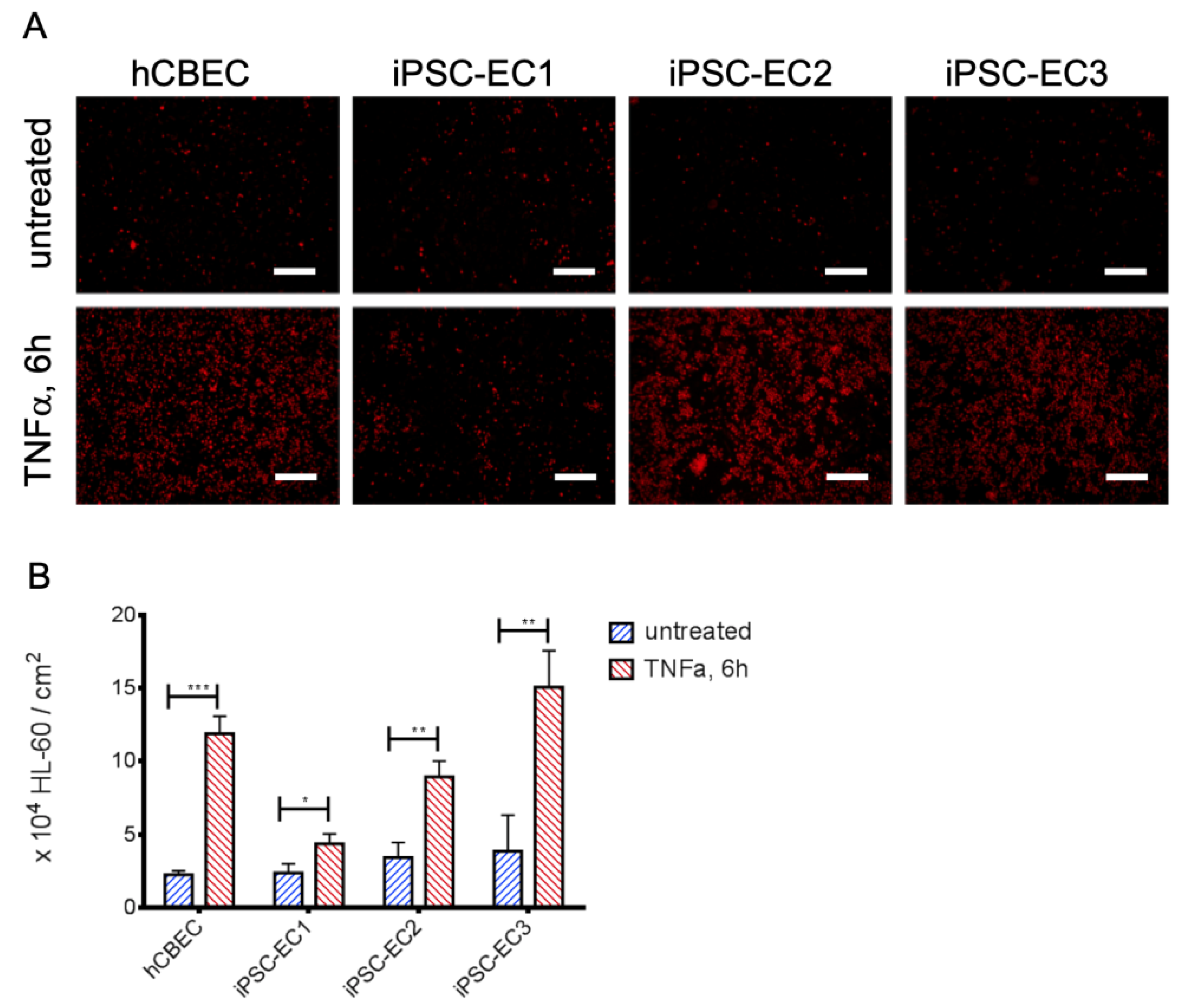 Micromachines 12 00981 g003