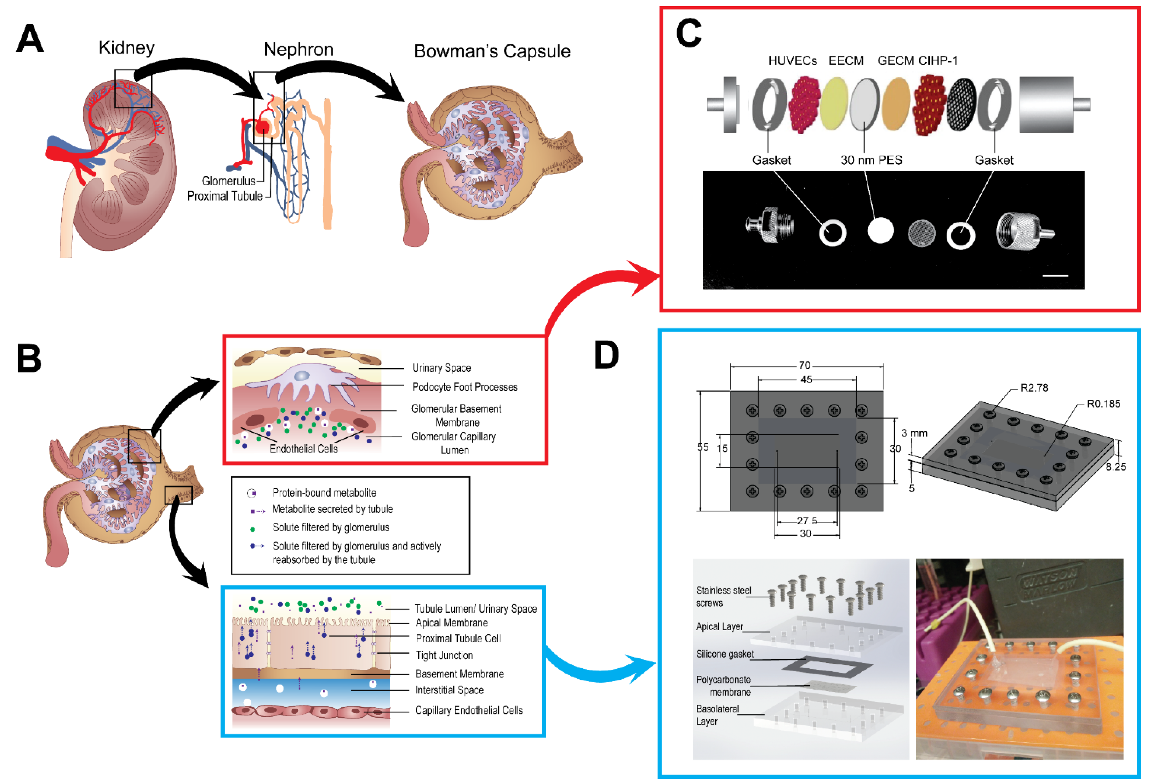 Micromachines 12 00983 g001