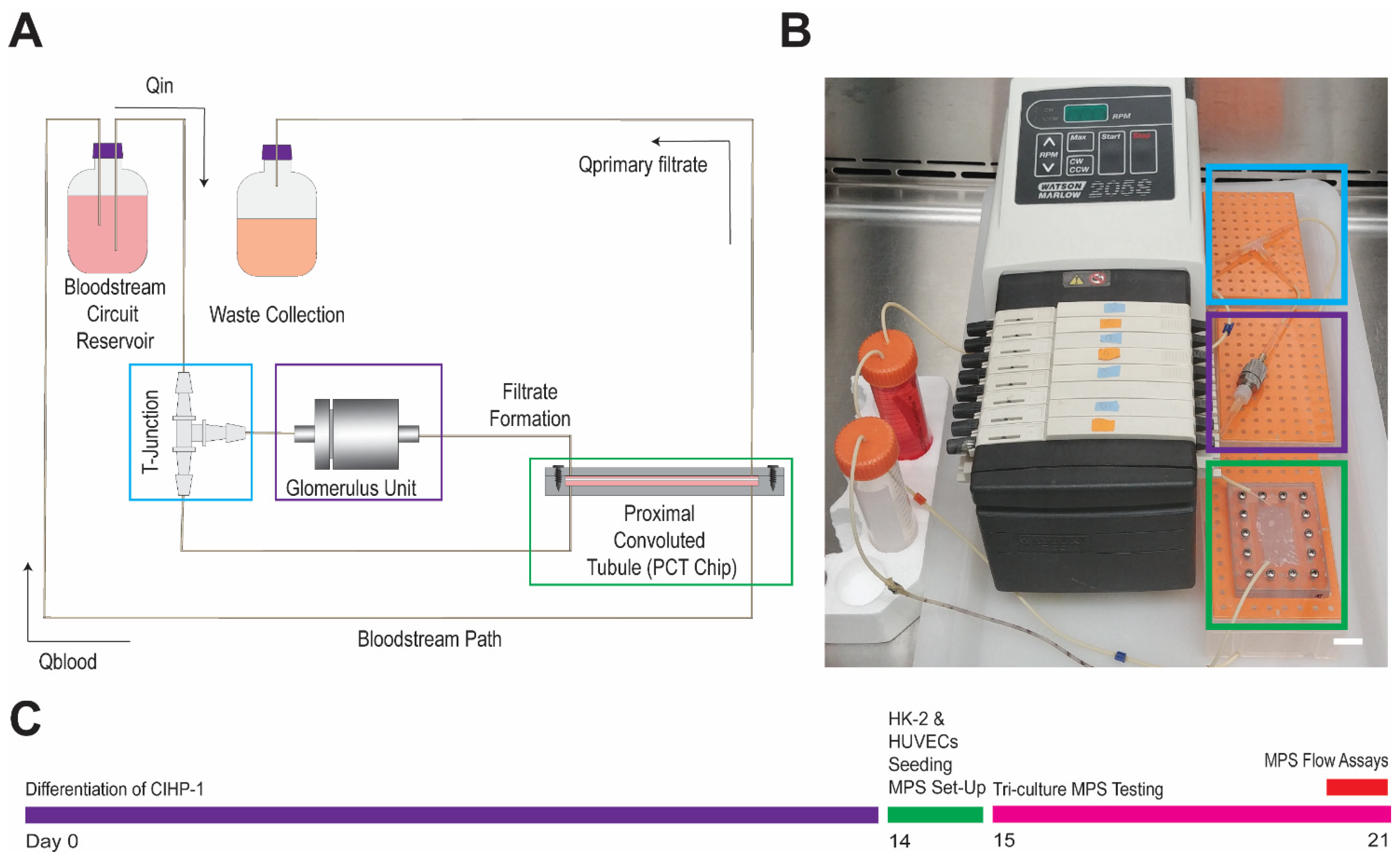 Micromachines 12 00983 g002