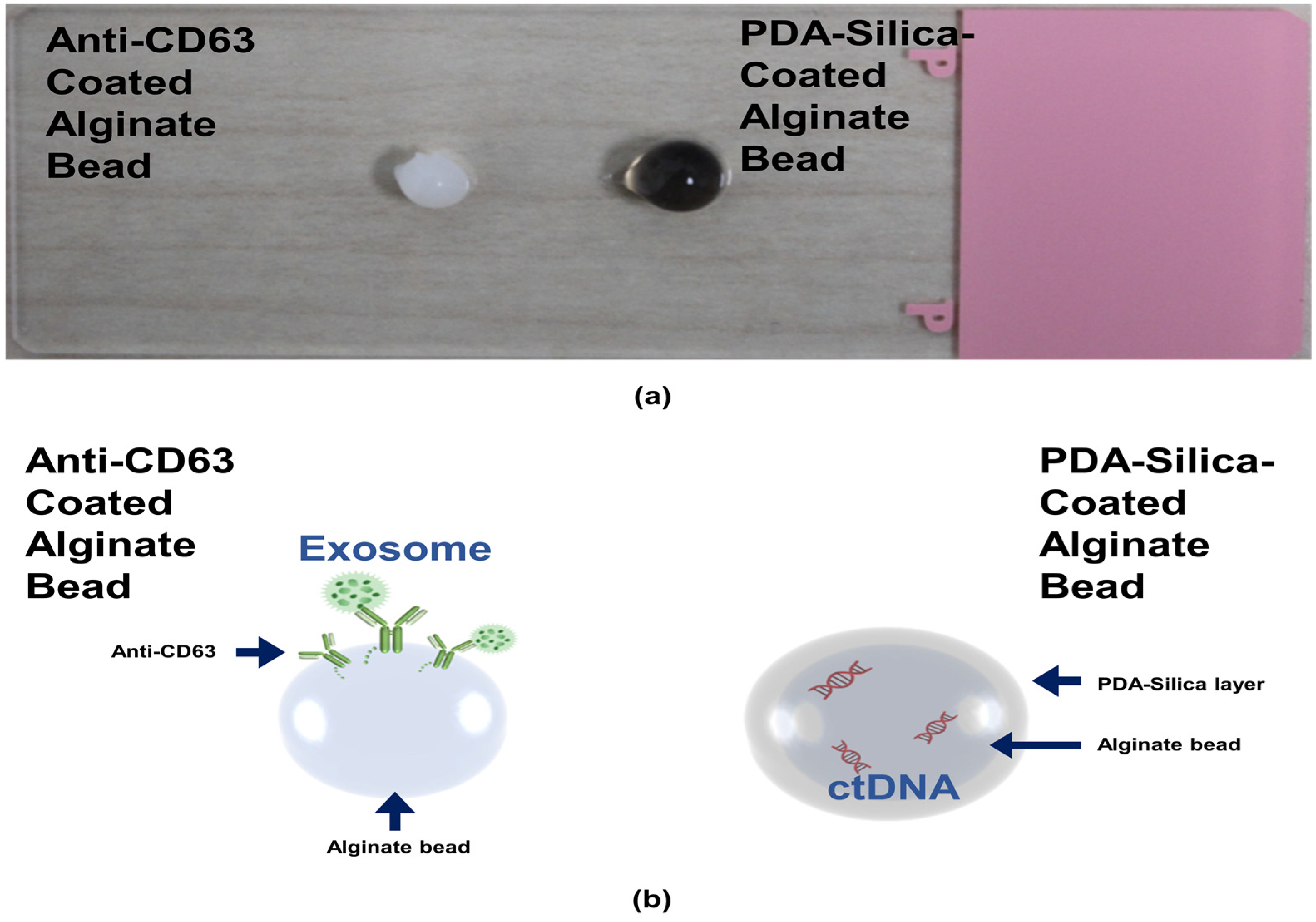 Micromachines 12 00987 g001