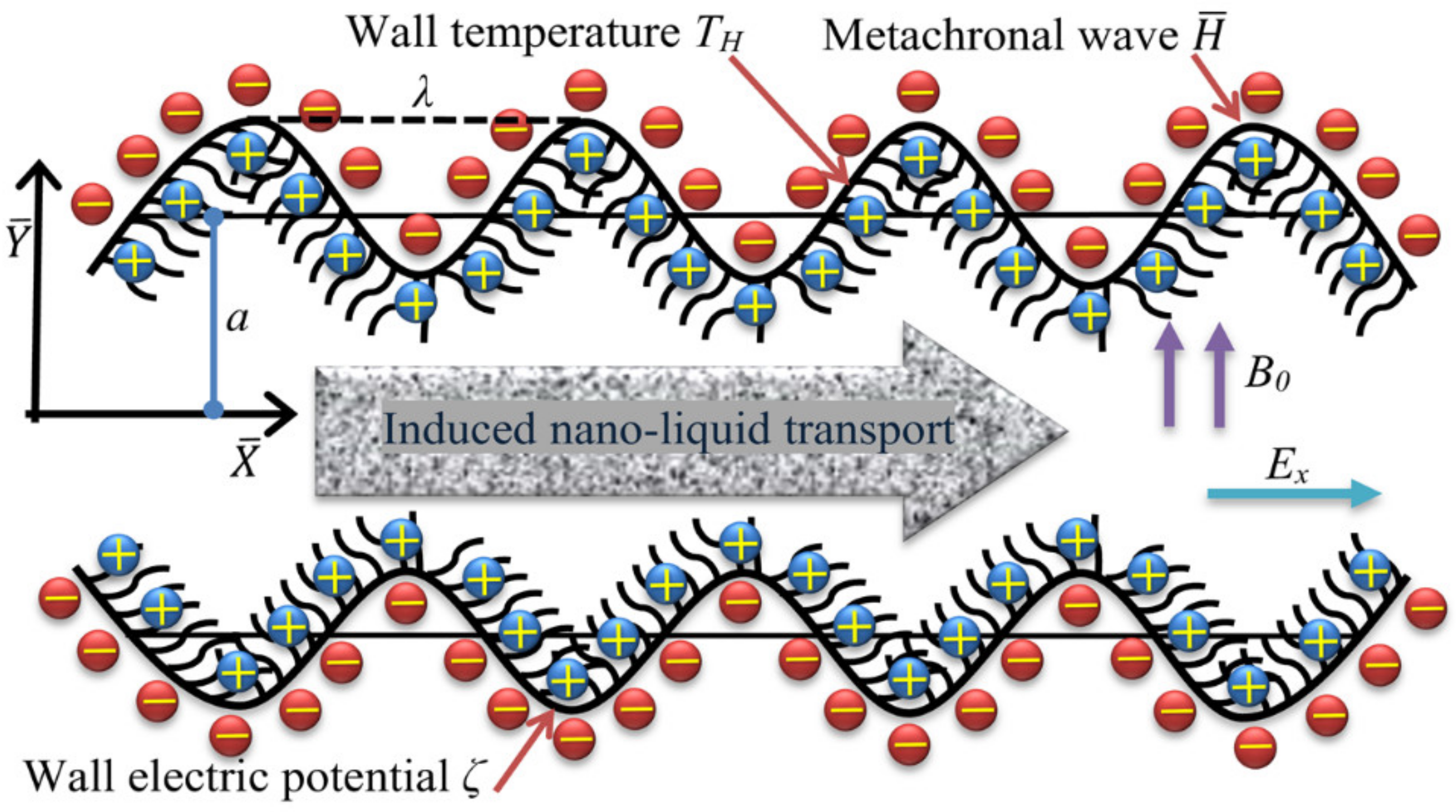 Micromachines 12 01004 g001 550