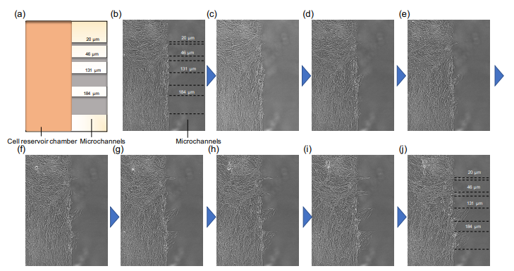 Micromachines 12 01015 g003 550
