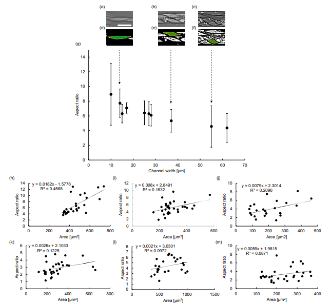 Micromachines 12 01015 g005 550