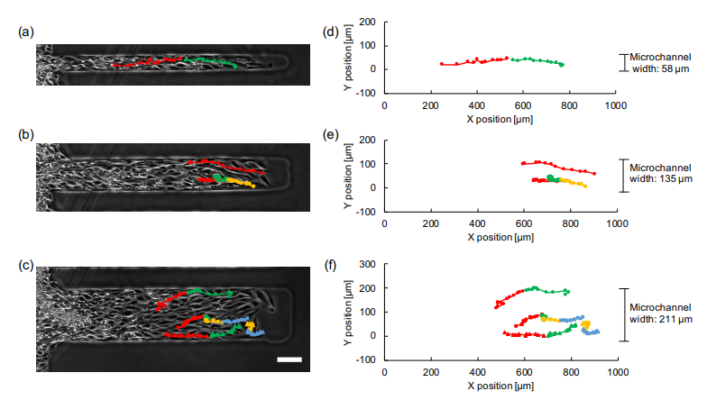 Micromachines 12 01015 g007 550