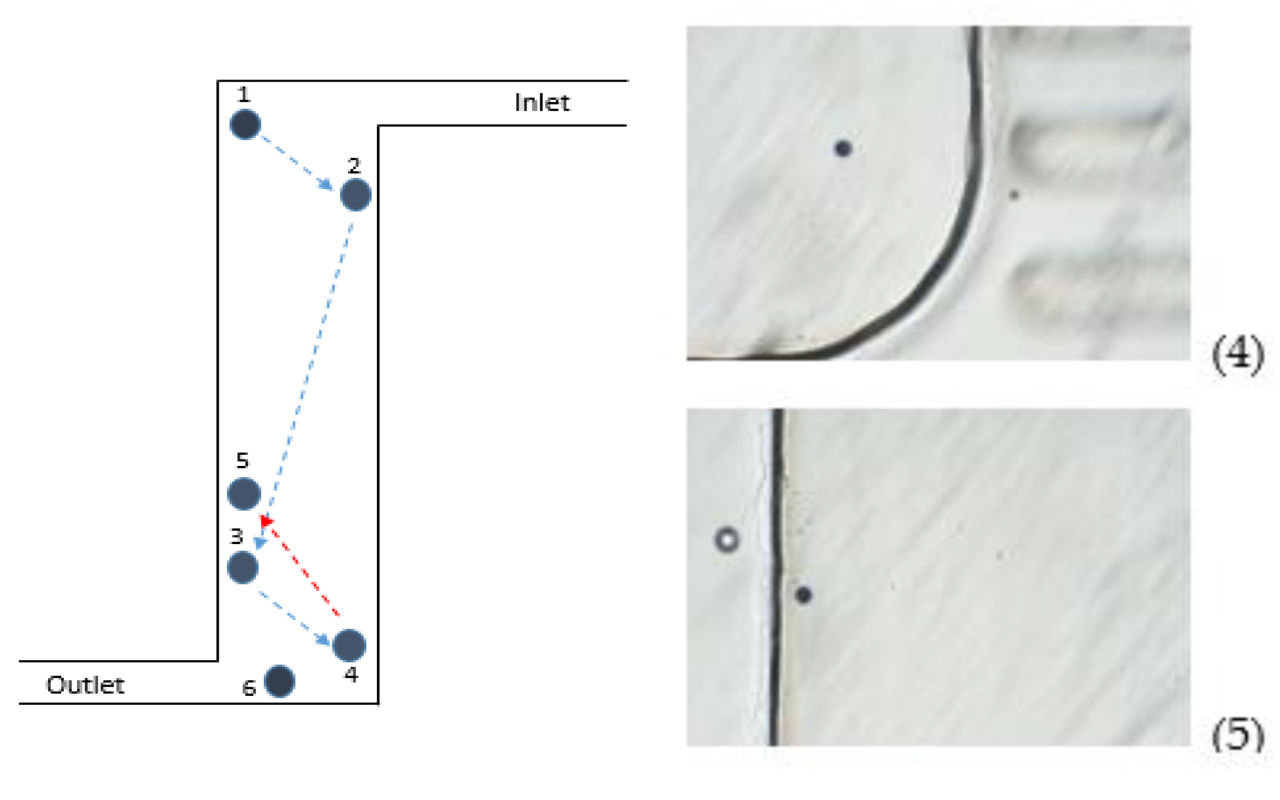 Micromachines 12 01032 g007 550