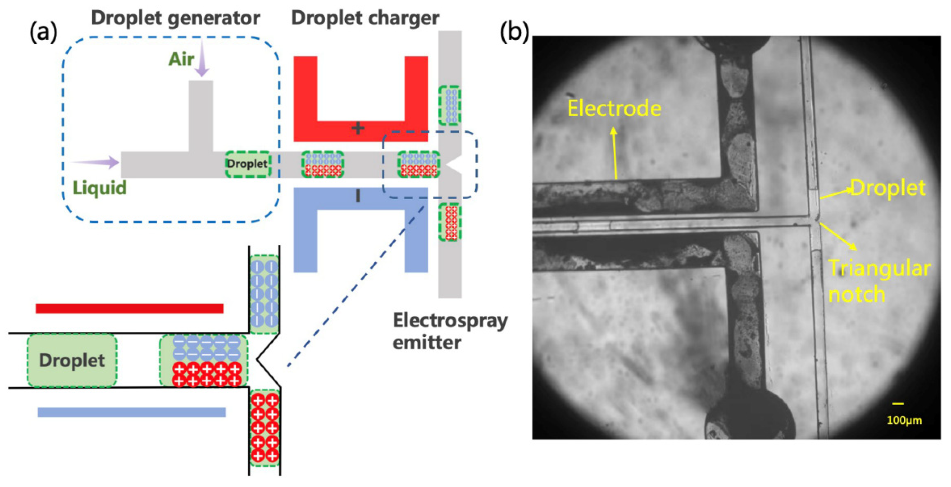 Micromachines 12 01034 g002 Micromachines 12 01034 g002