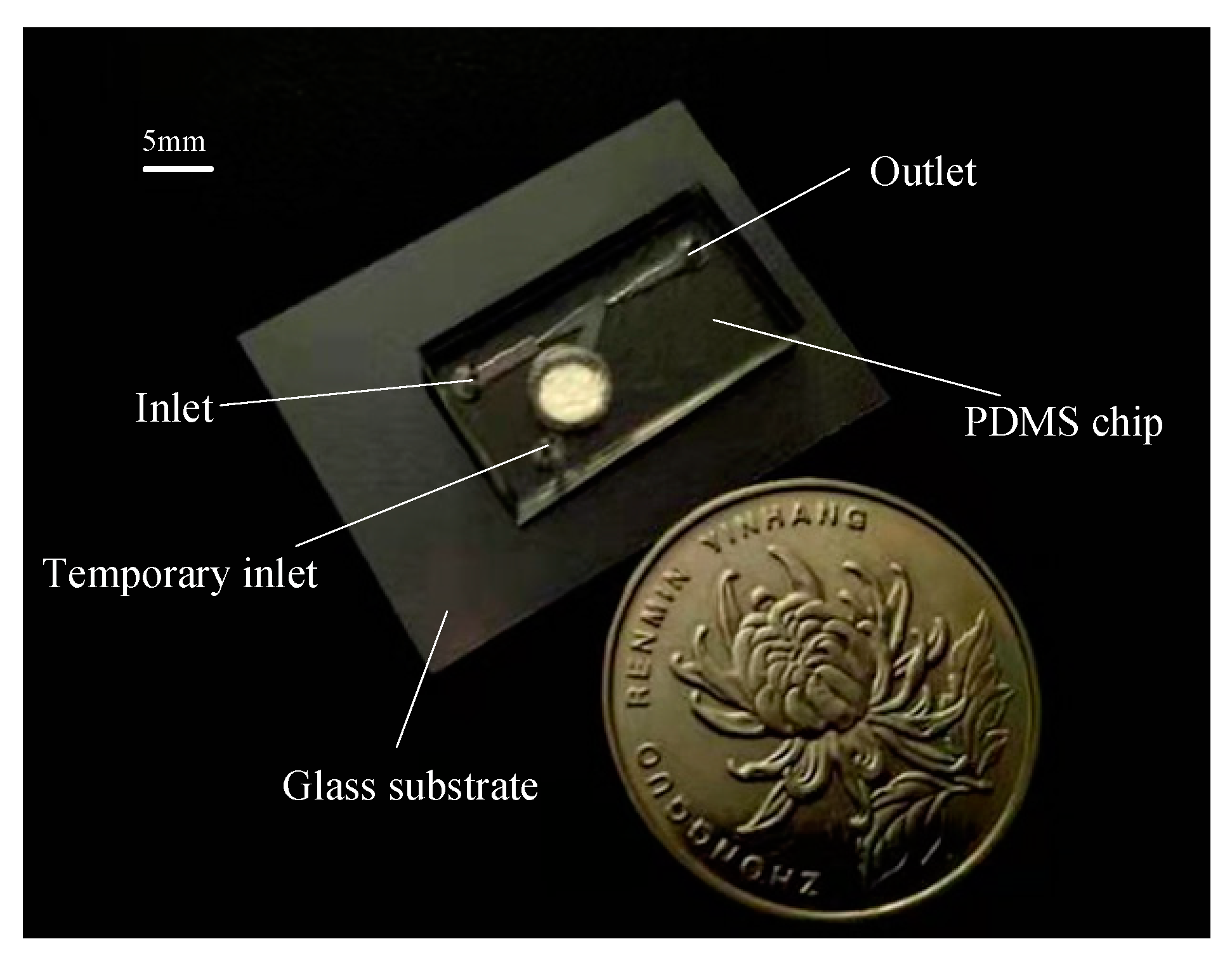 Micromachines 12 01040 g006