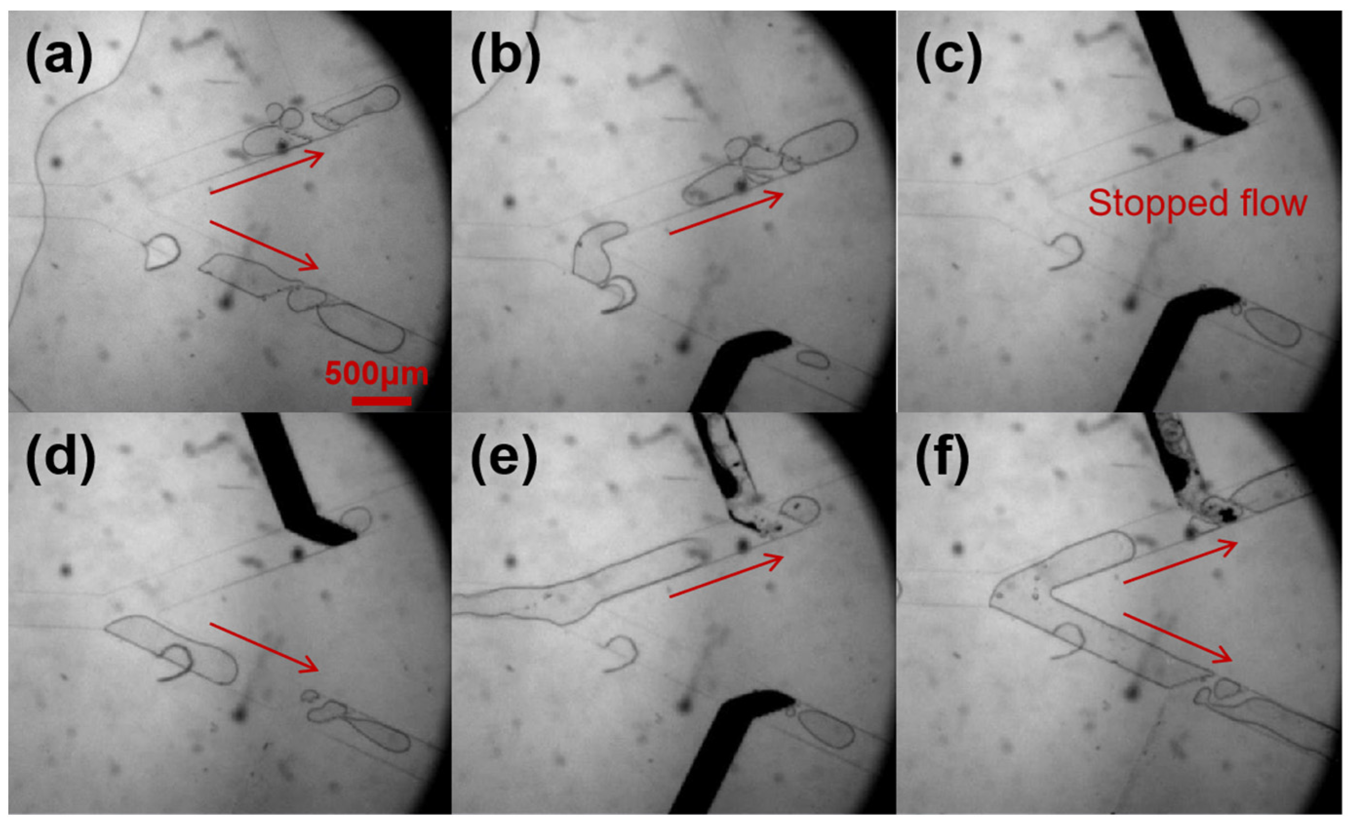 Micromachines 12 01051 g008 Micromachines 12 01051 g008