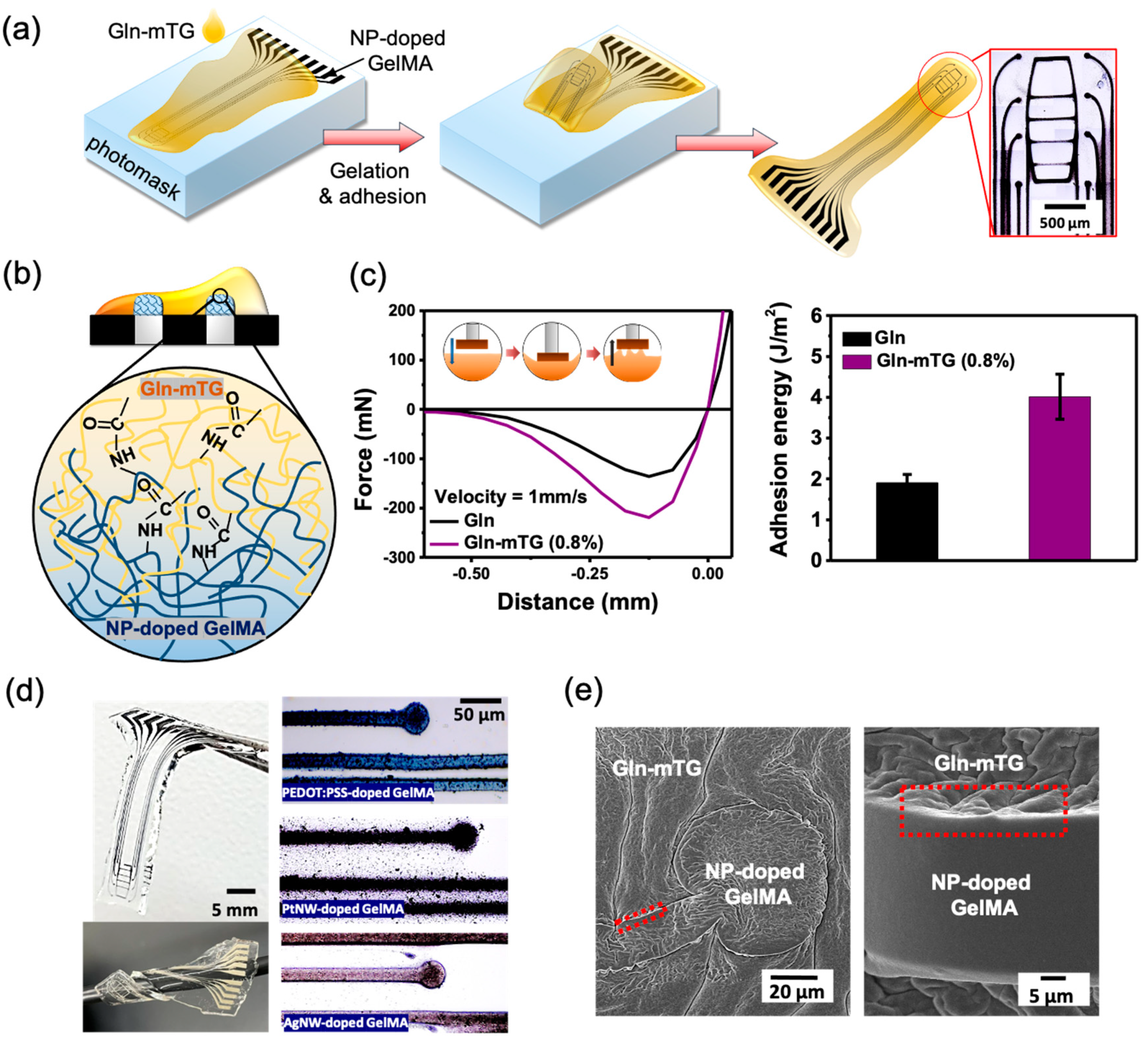 Micromachines 12 01057 g005