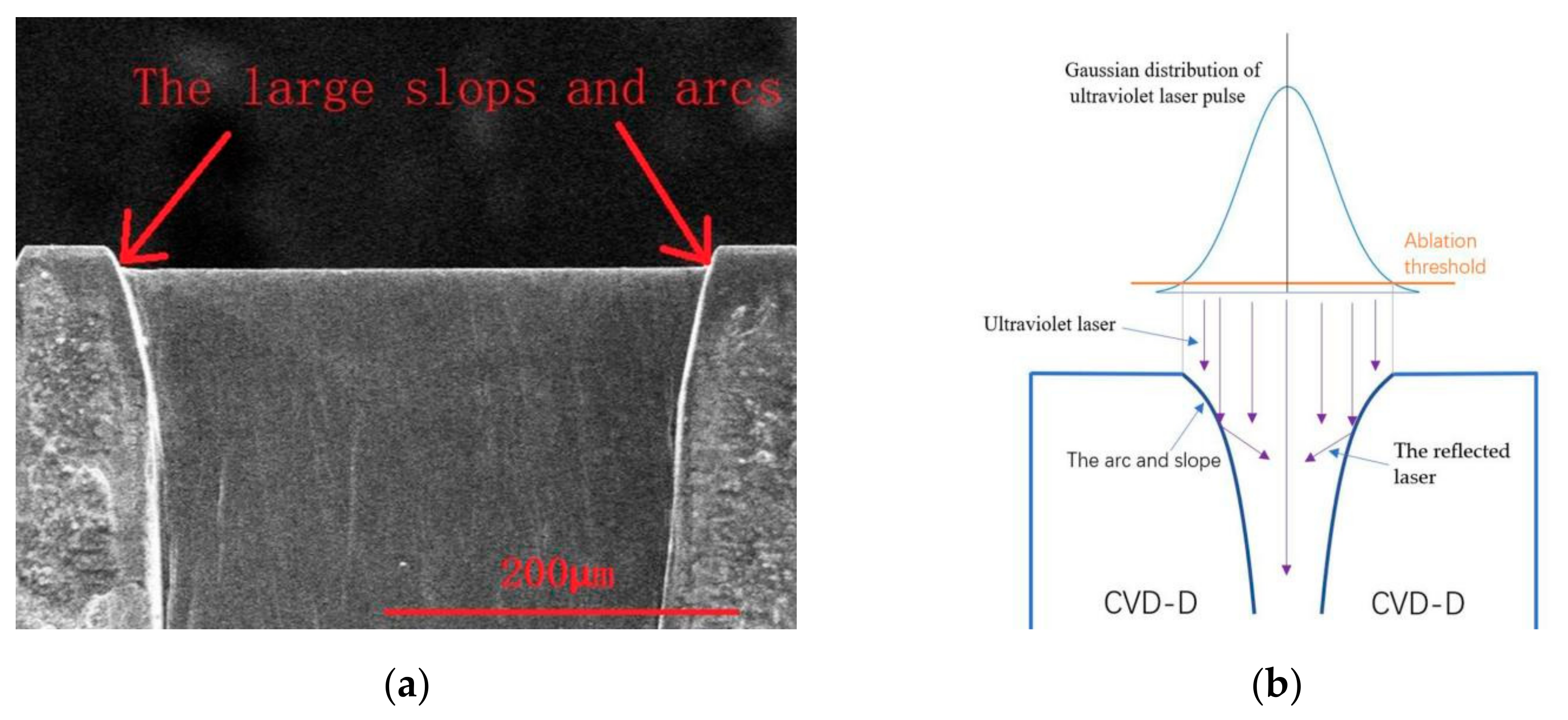 Micromachines 12 01058 g007 550