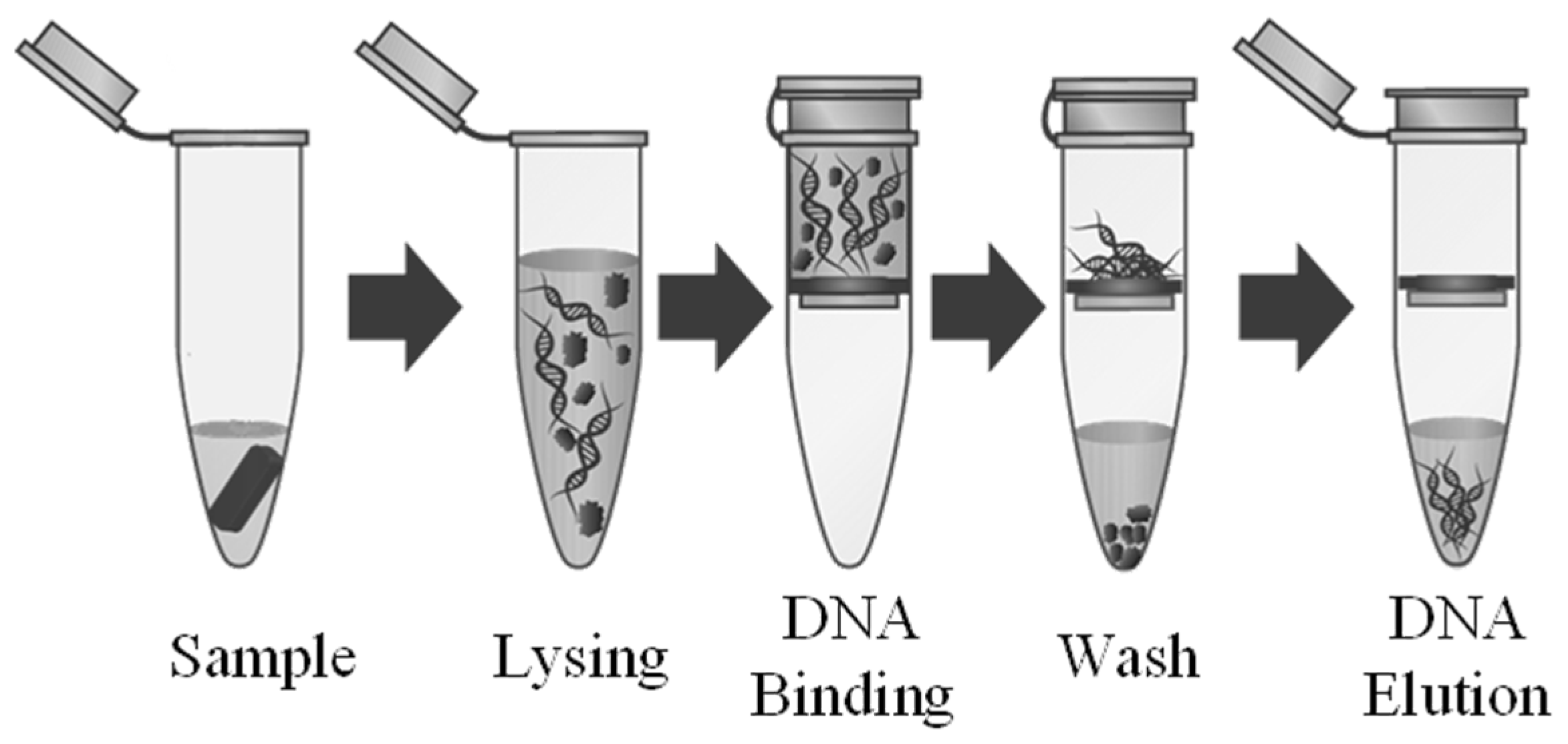 Micromachines 12 01065 g002 550