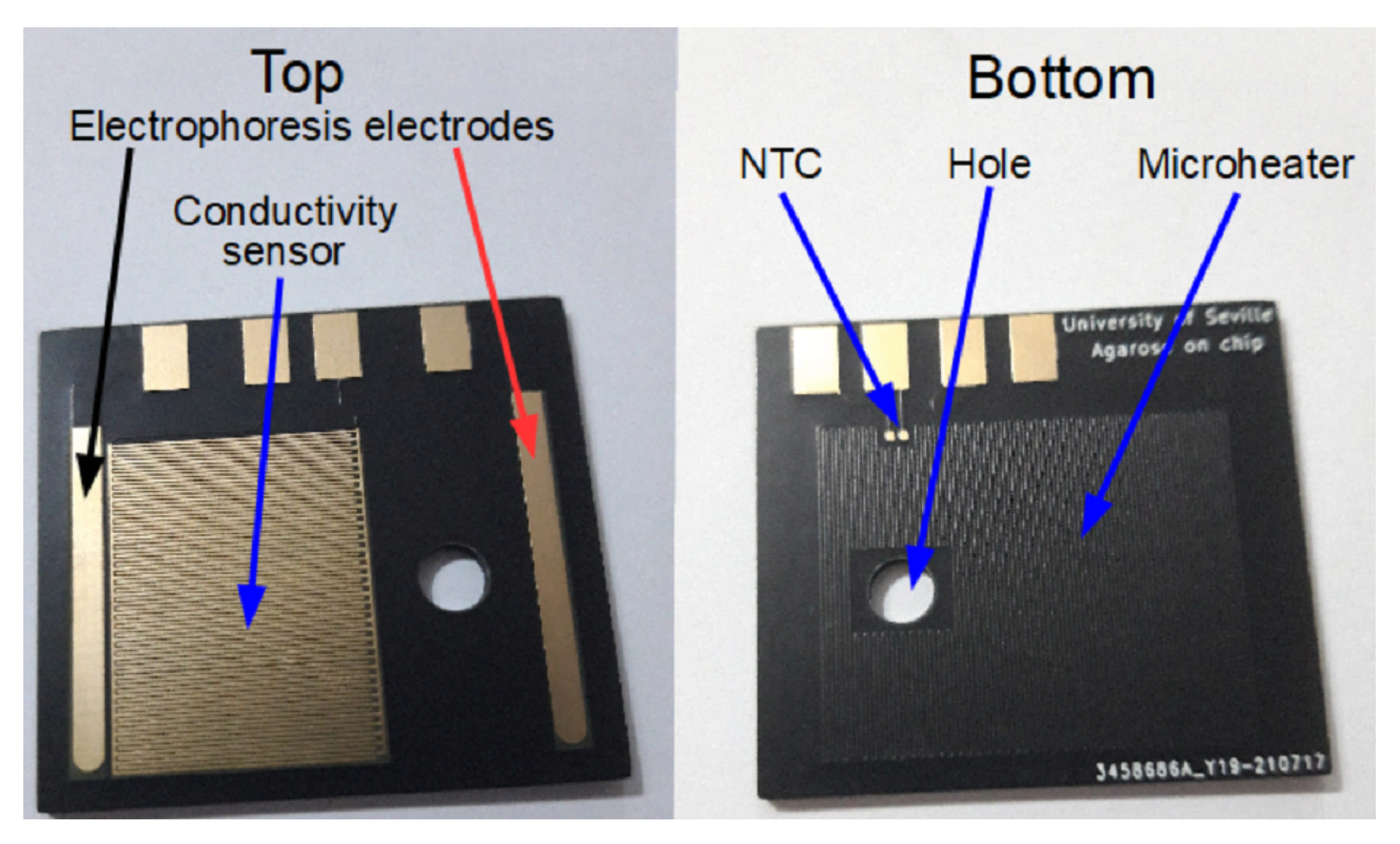 Micromachines 12 01071 g001 550