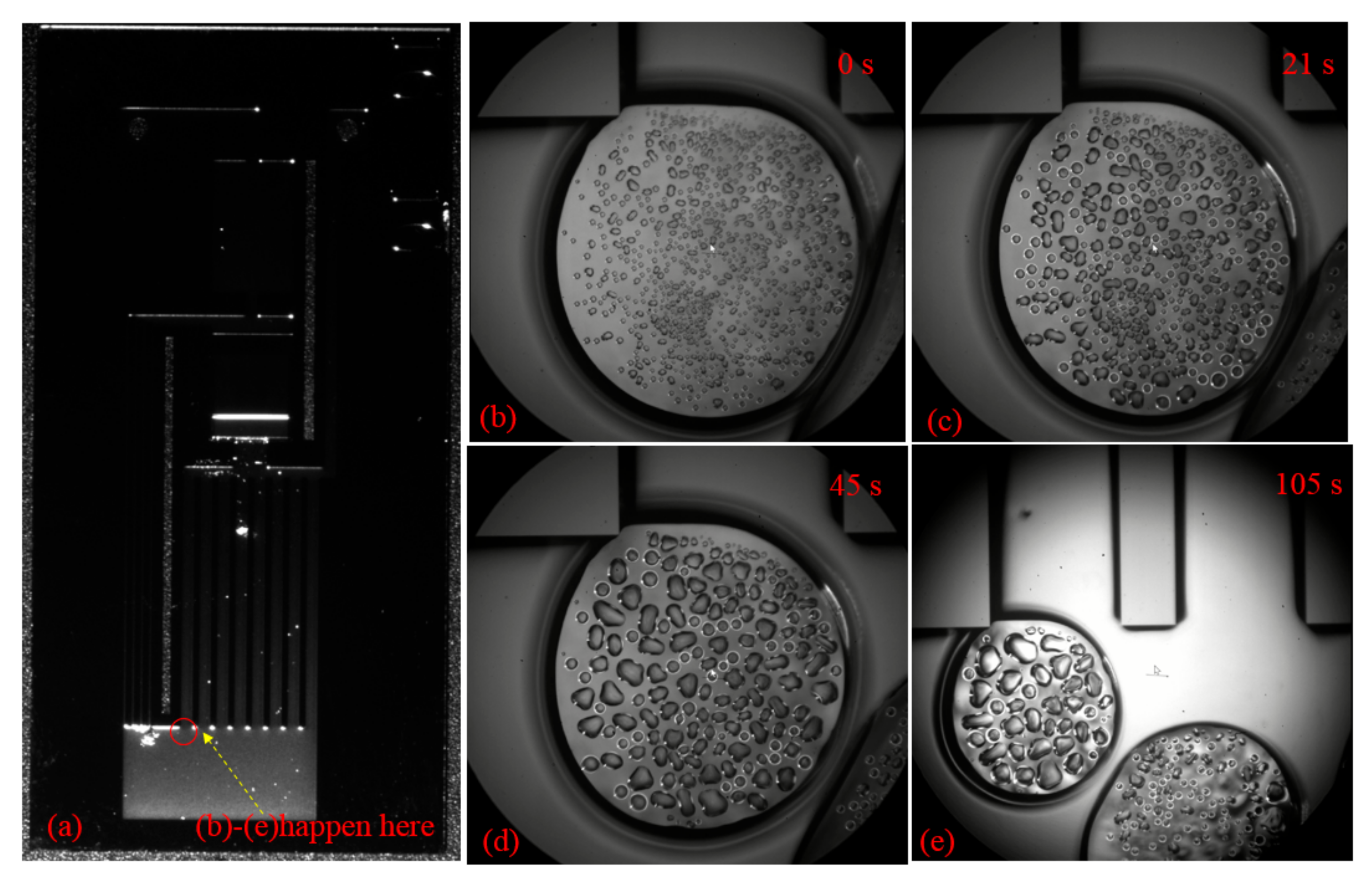 Micromachines 12 01080 g009 550
