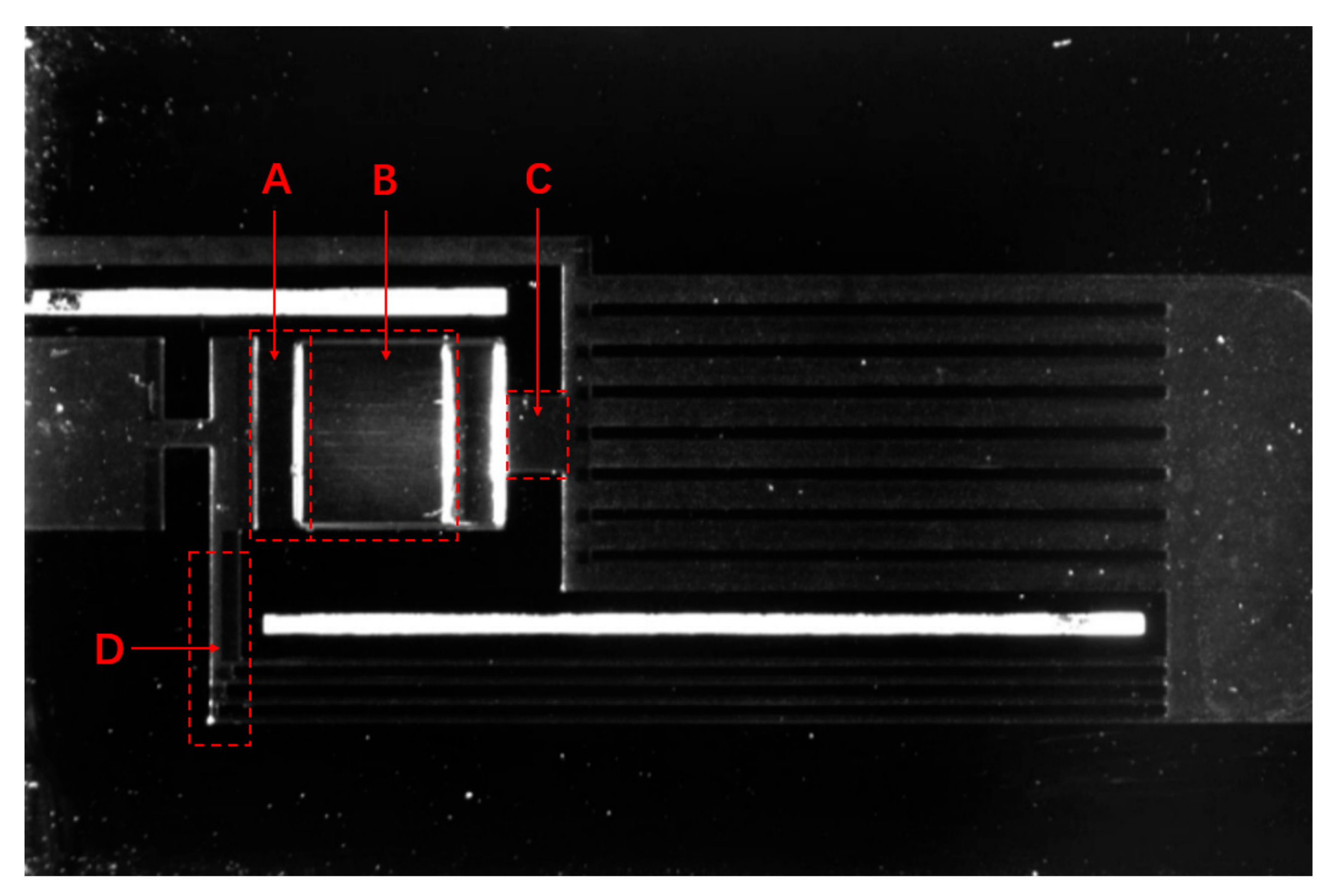Micromachines 12 01080 g011 550