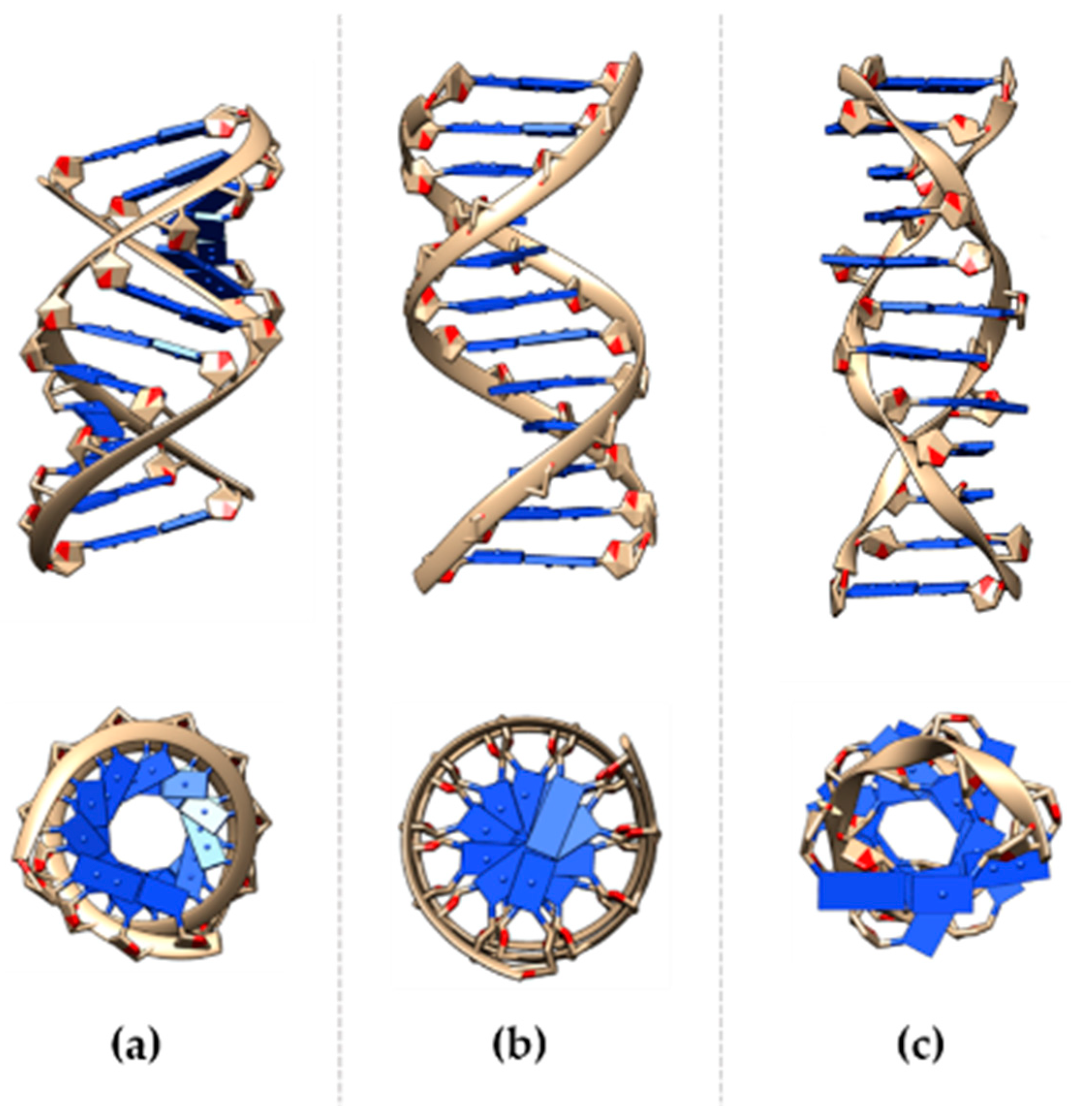 Mini DNA Science Crystals in 3D Model of Double Helix Etched In Glass 