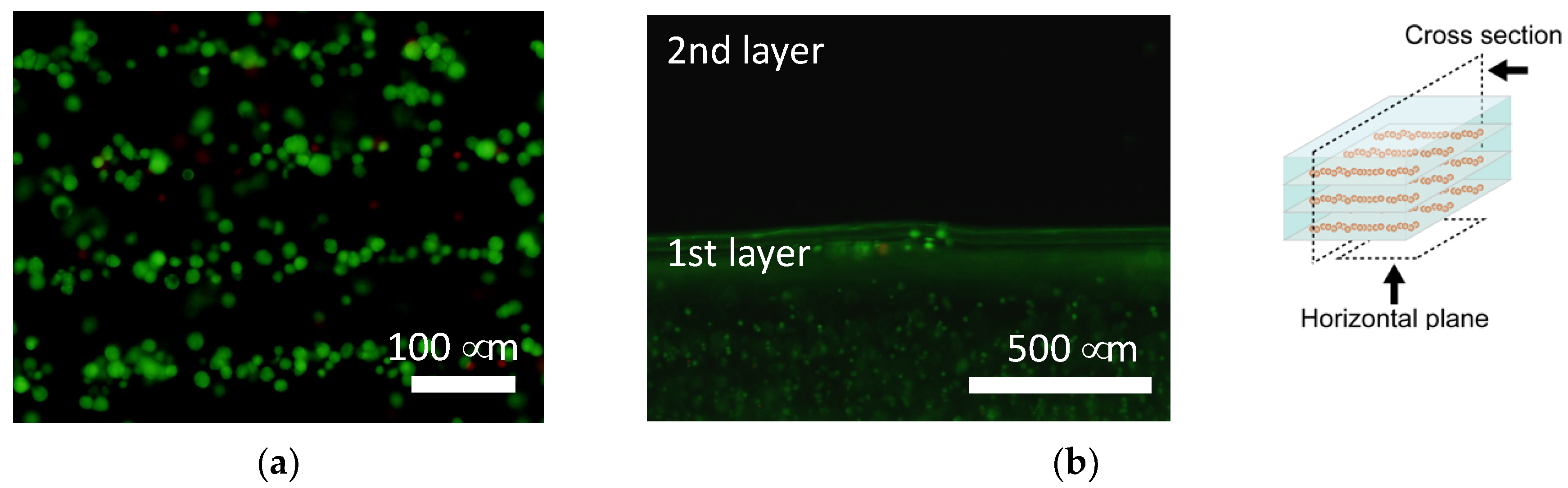 Micromachines 12 01098 g010