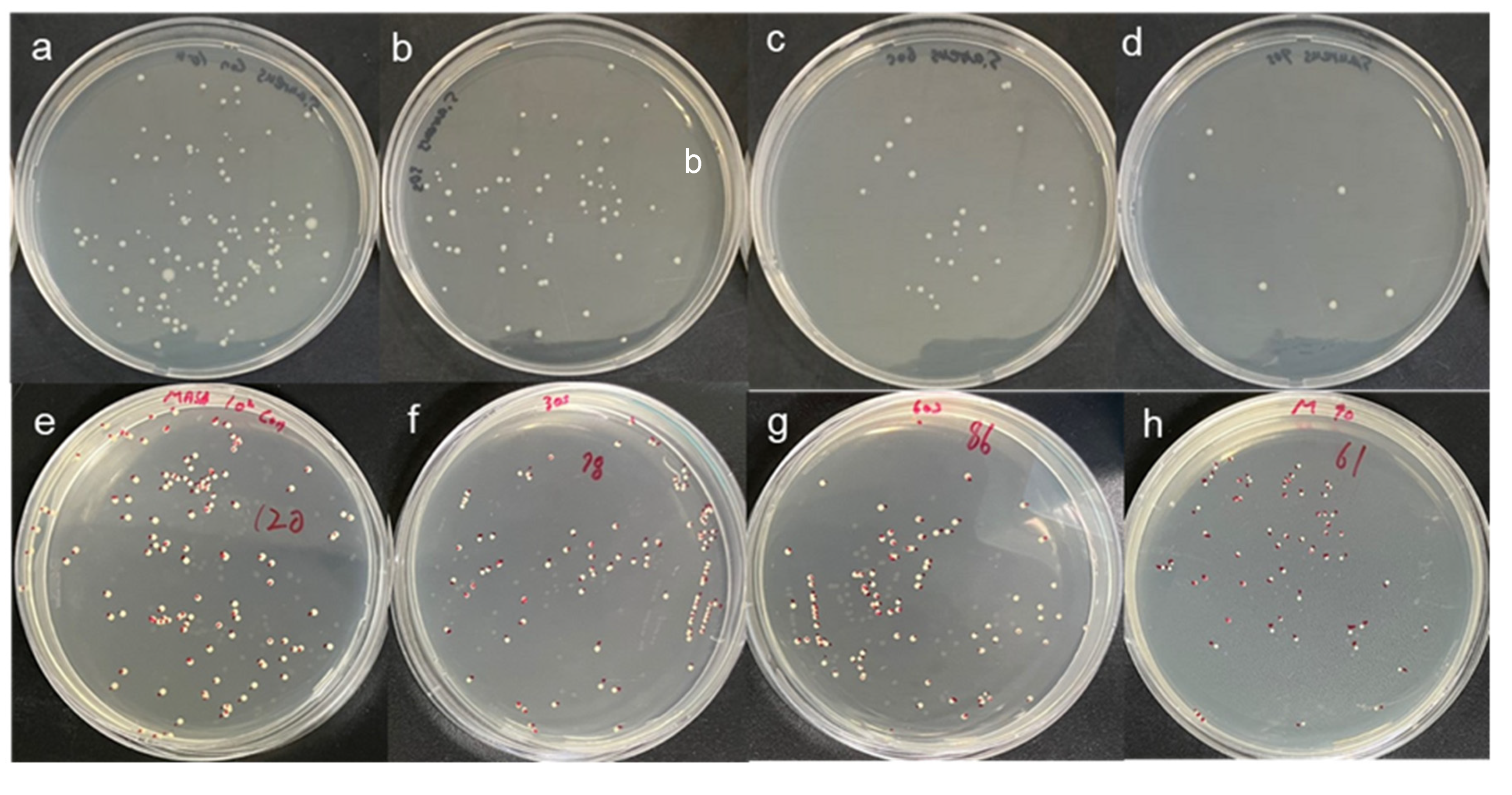 Micromachines 12 01103 g004a