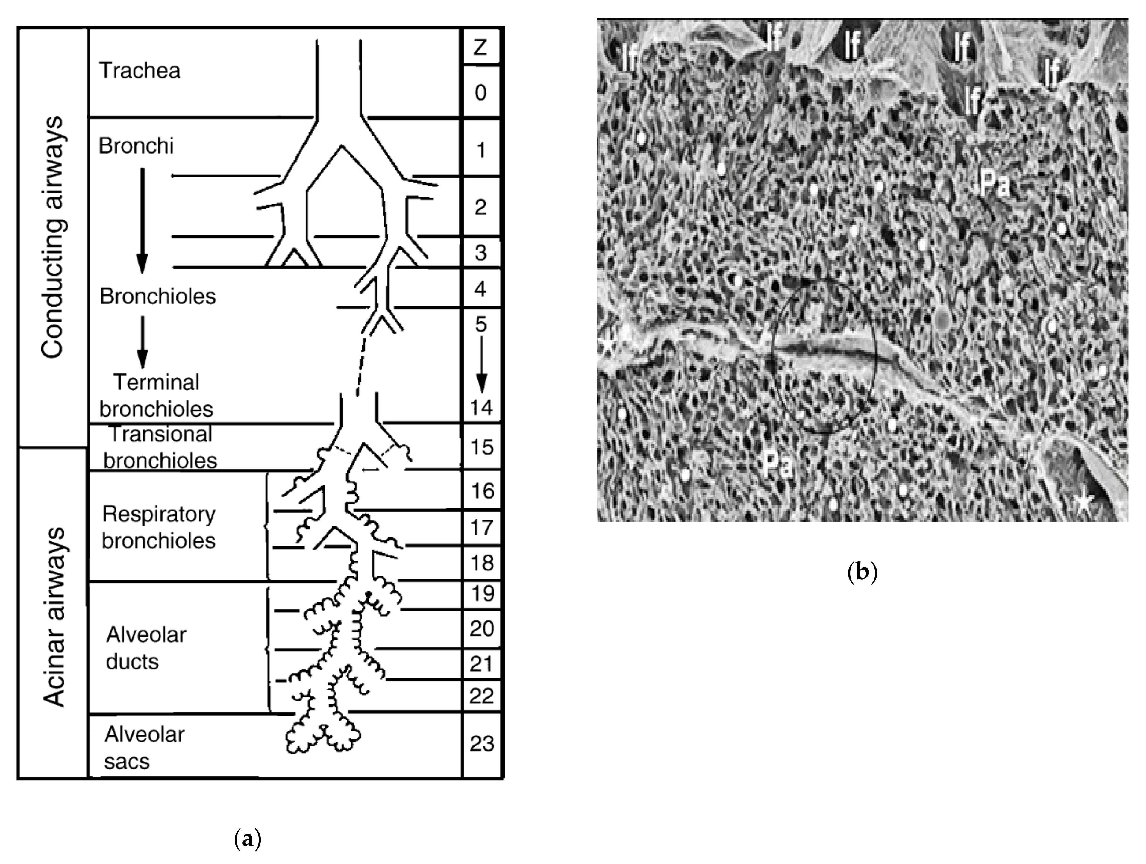 Micromachines 12 01106 g001
