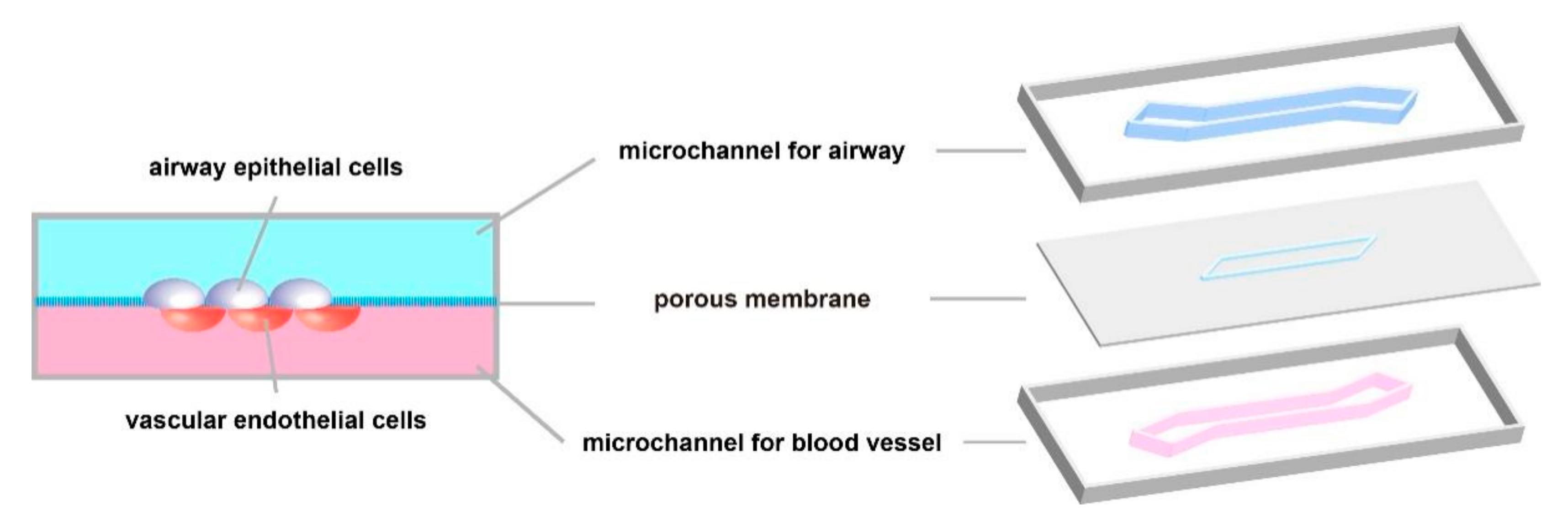Micromachines 12 01106 g003