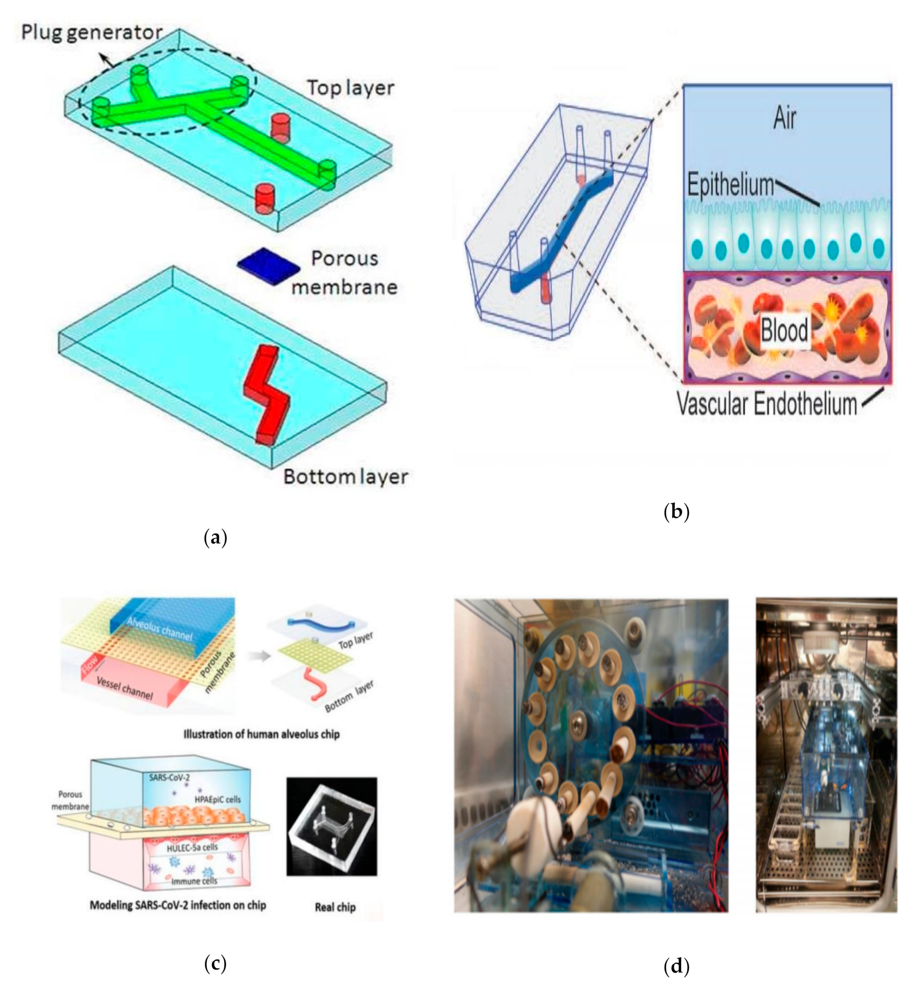 Micromachines 12 01106 g005a