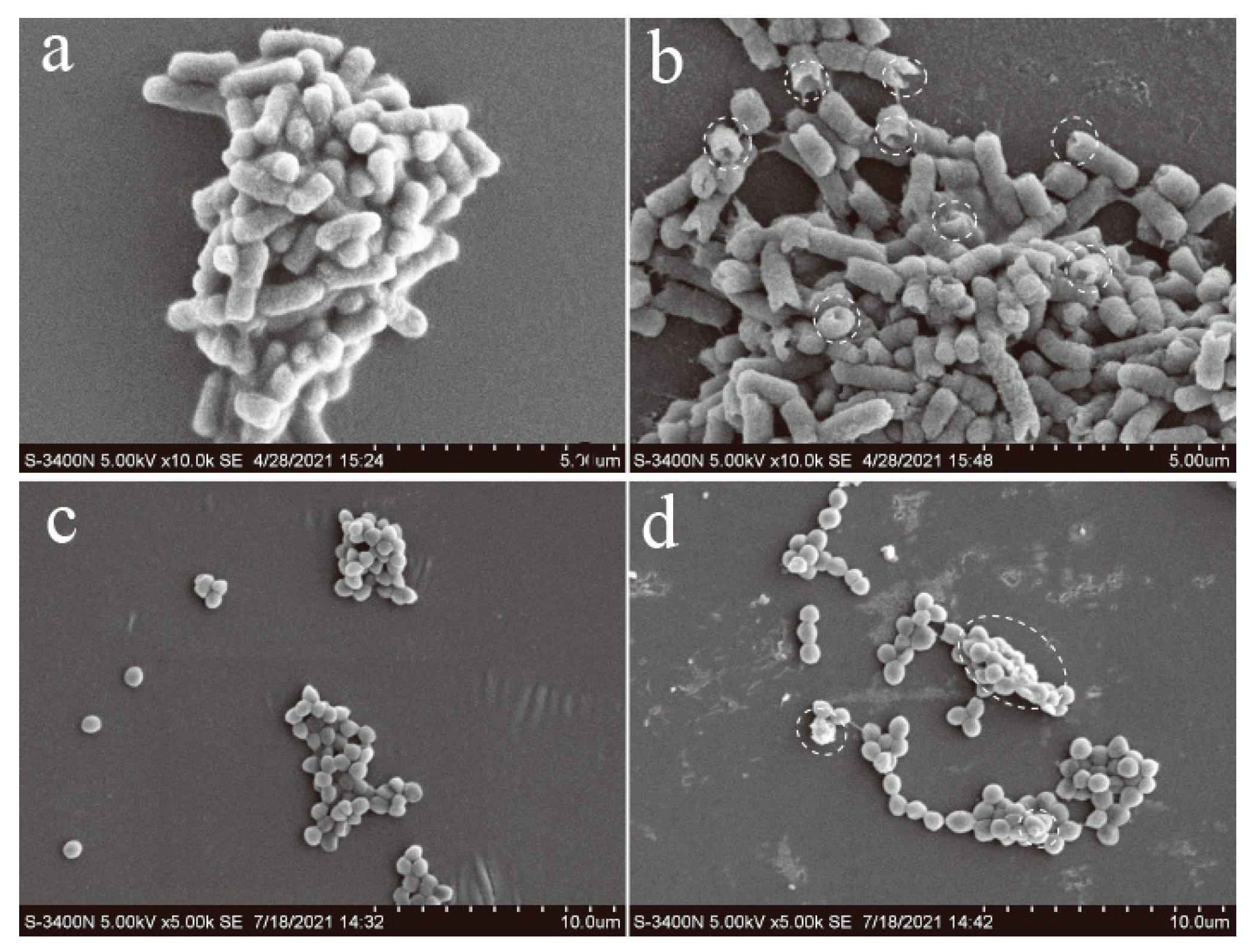 Micromachines 12 01116 g006 550