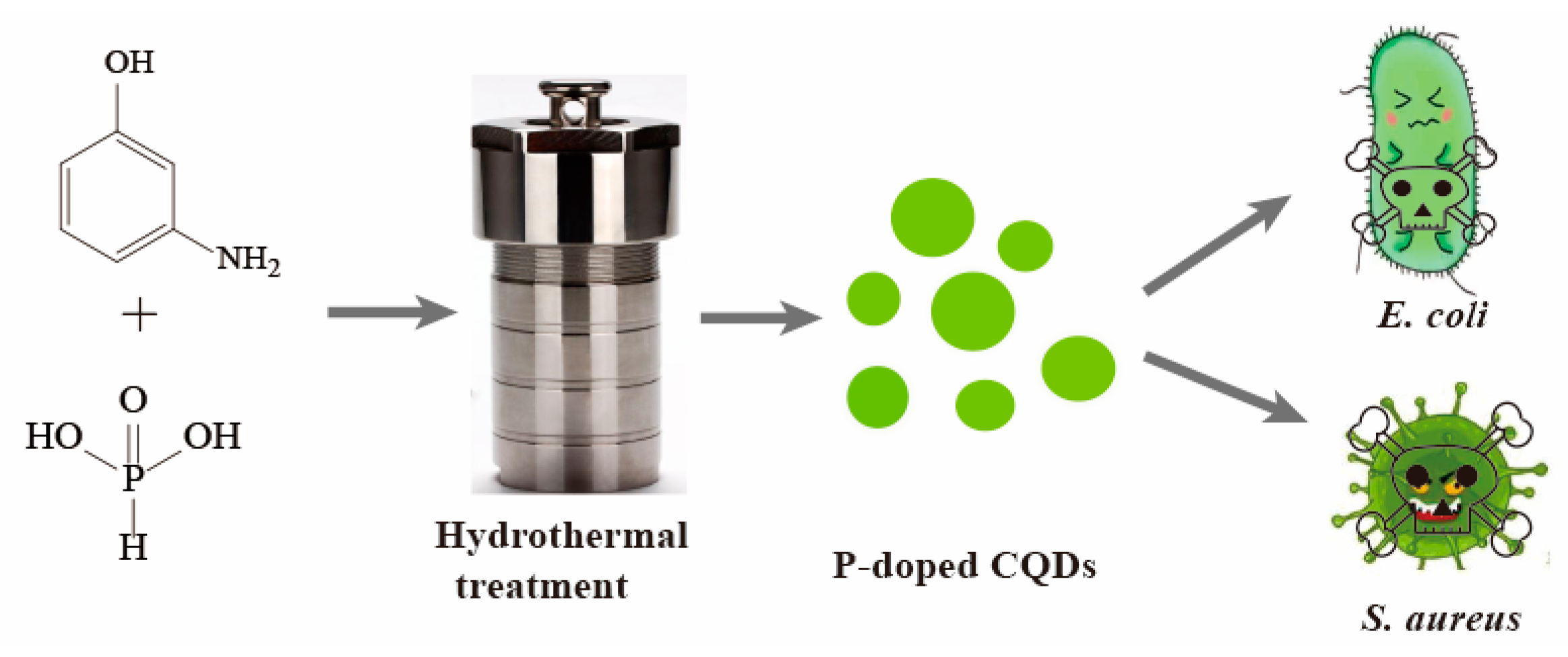 P-Doped Carbon Quantum Dots with Antibacterial Activity