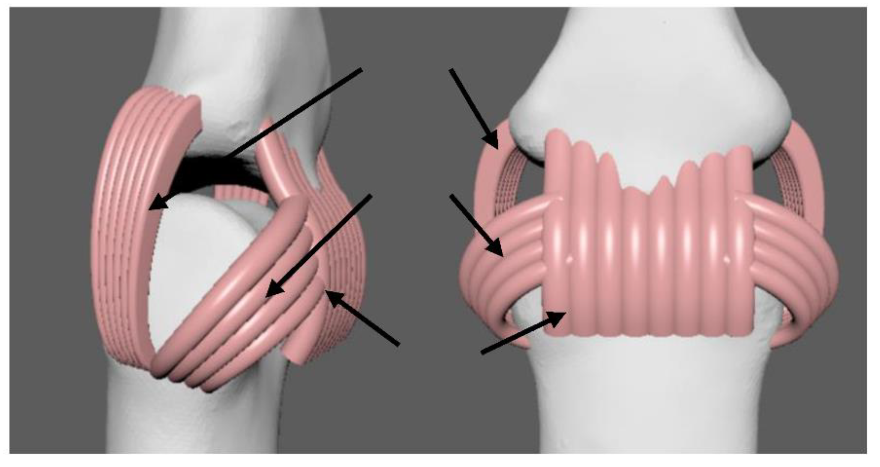 Micromachines 12 01124 g003