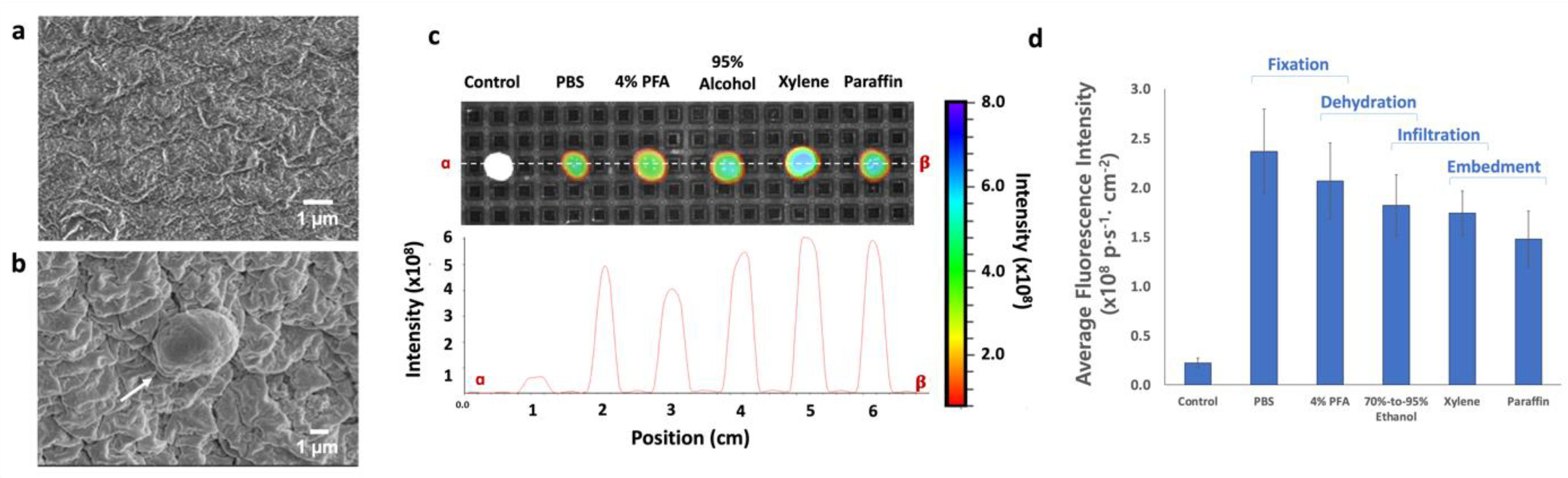 Micromachines 12 01128 g004