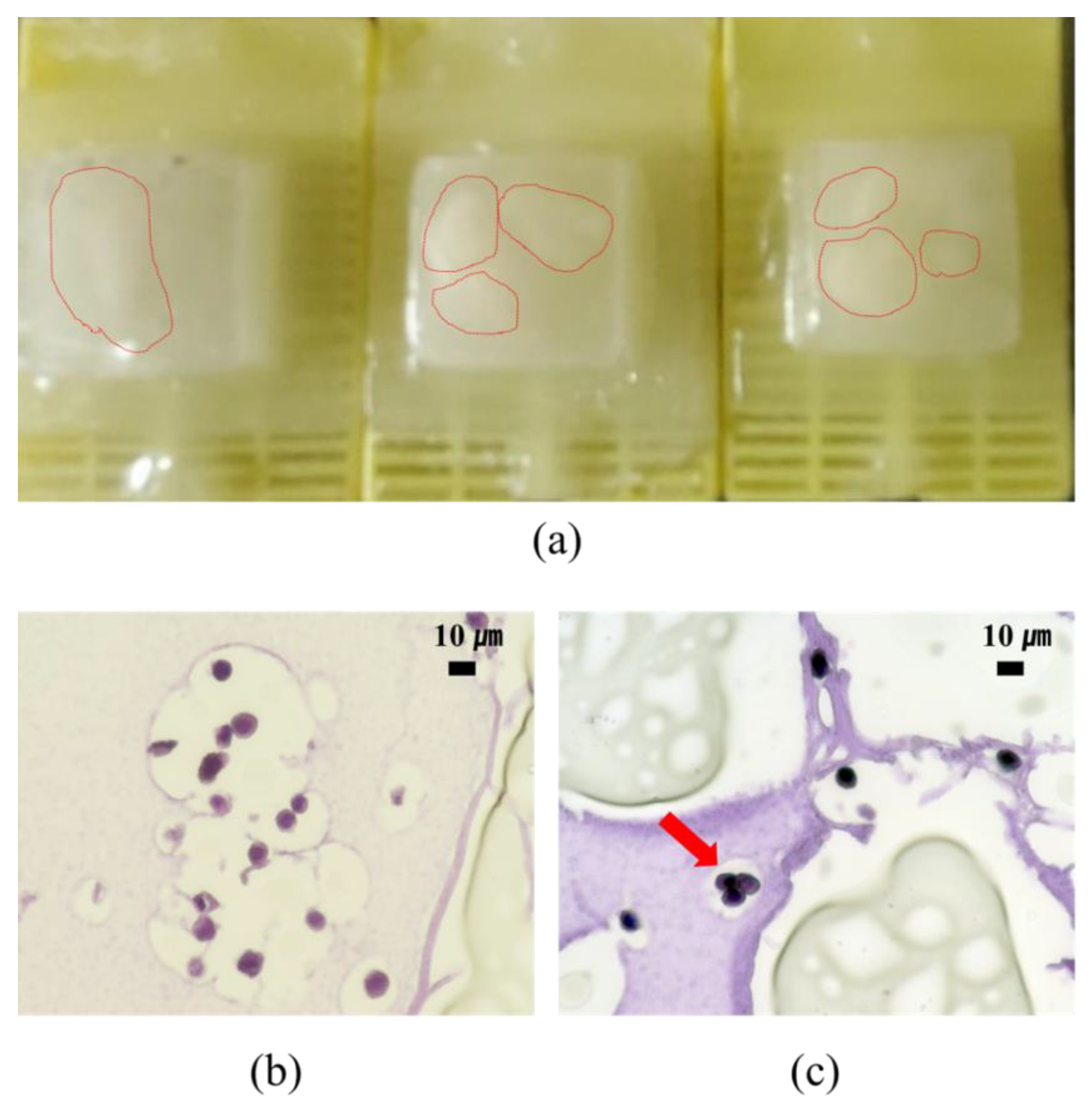 Micromachines 12 01128 g005