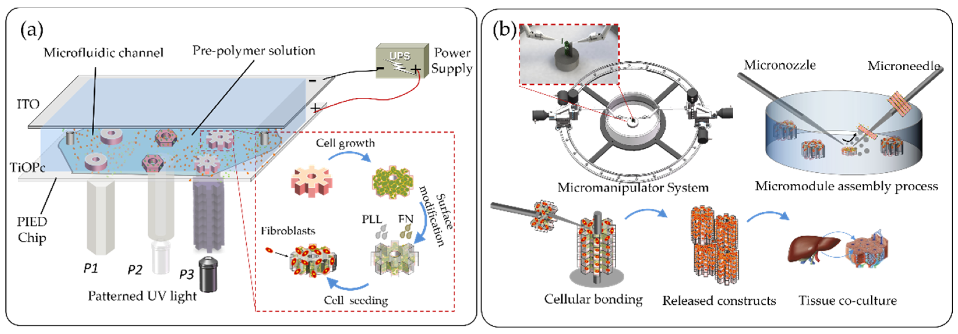 Micromachines 12 01129 g001