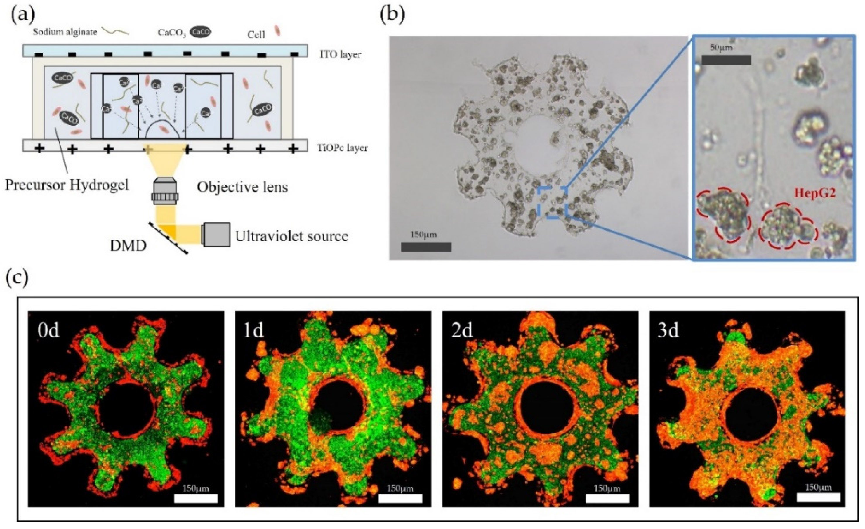 Micromachines 12 01129 g003
