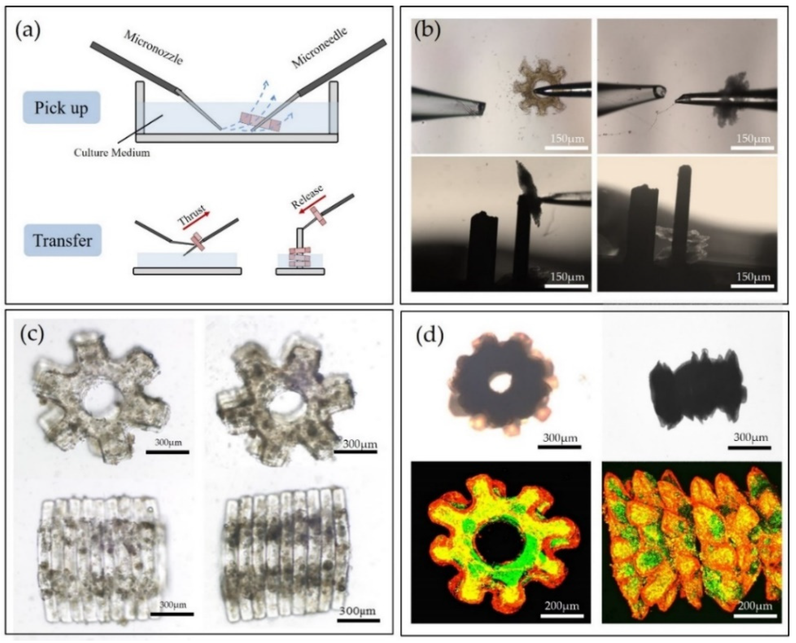 Micromachines 12 01129 g006