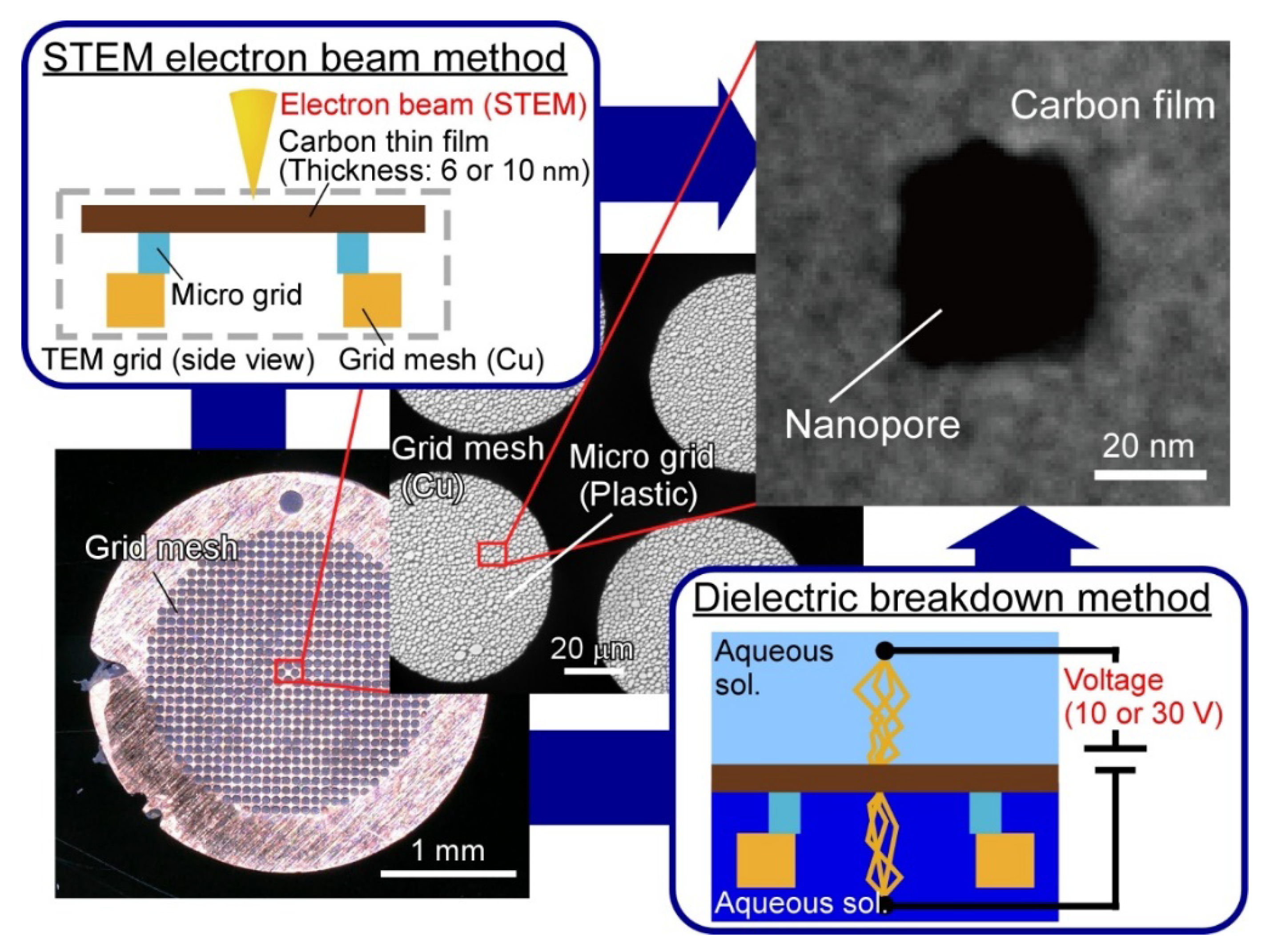 Micromachines 12 01135 g001 550