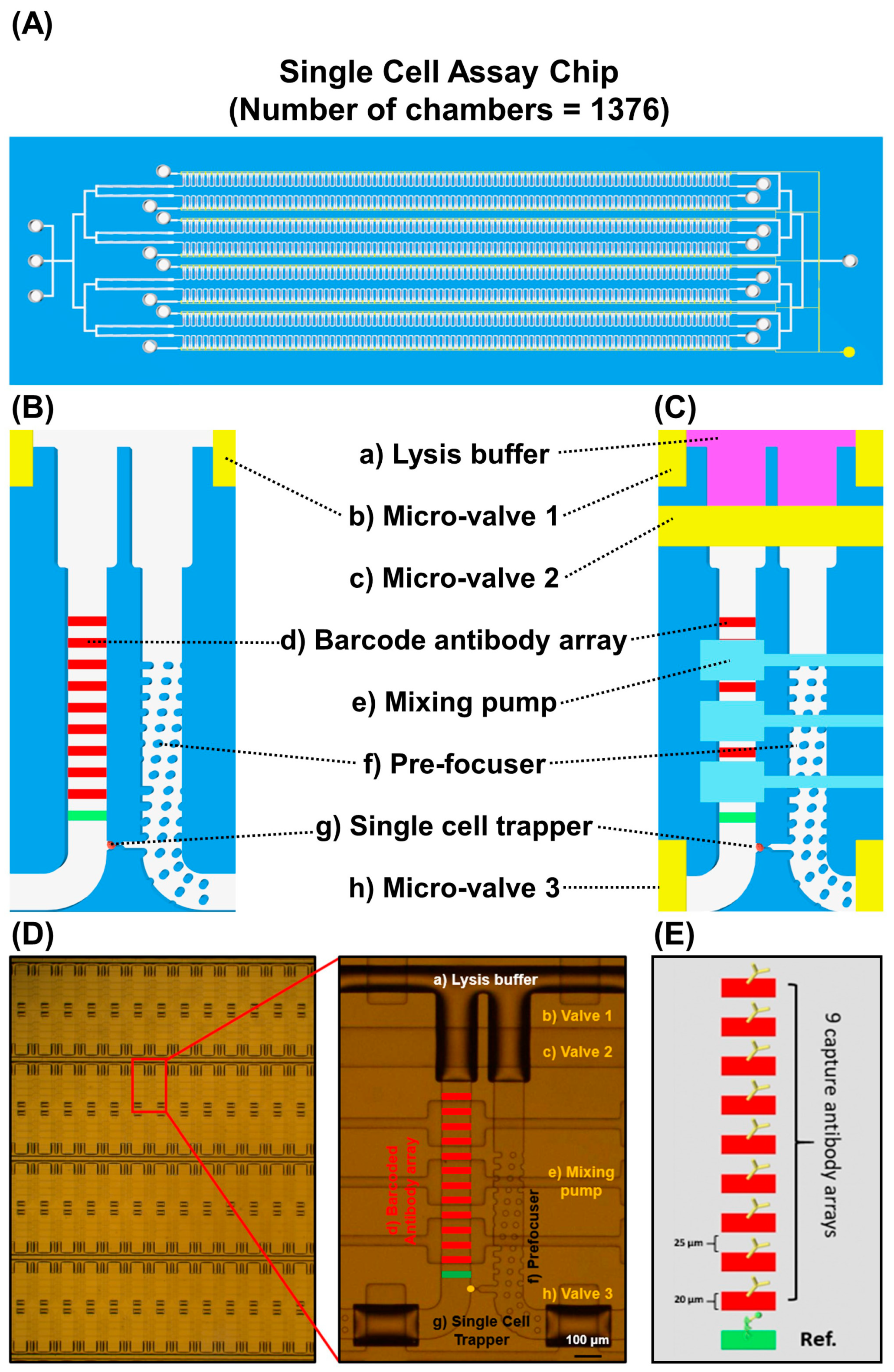 Micromachines 12 01147 g001