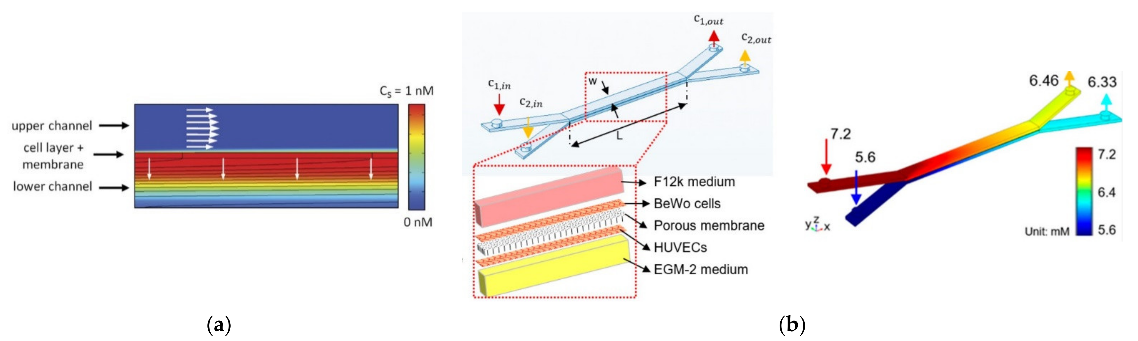 Micromachines 12 01149 g002